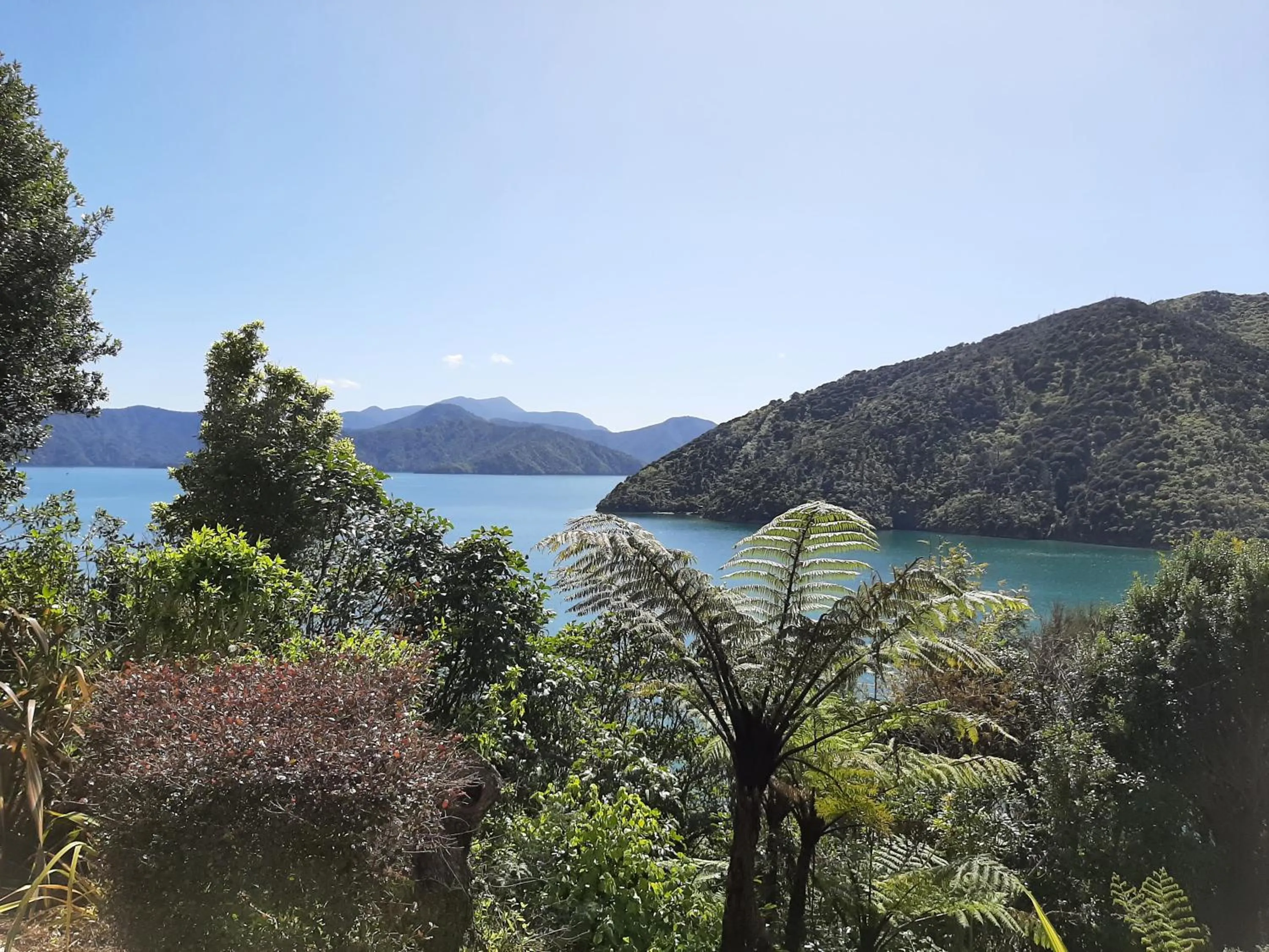 Natural landscape in A Sea View B&B