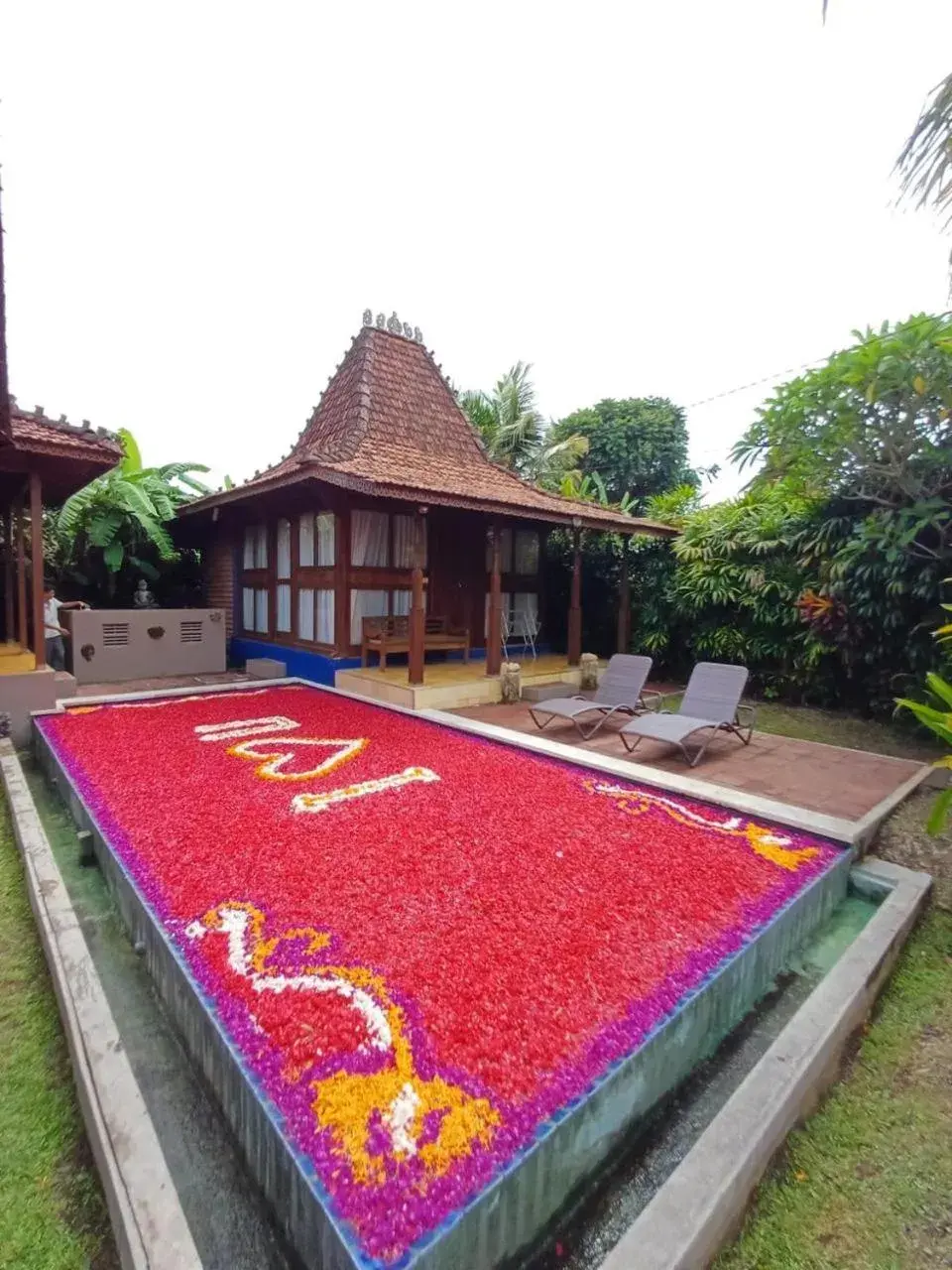 Swimming pool in Ubud Heaven Penestanan Swimming pool in Ubud Heaven Penestanan