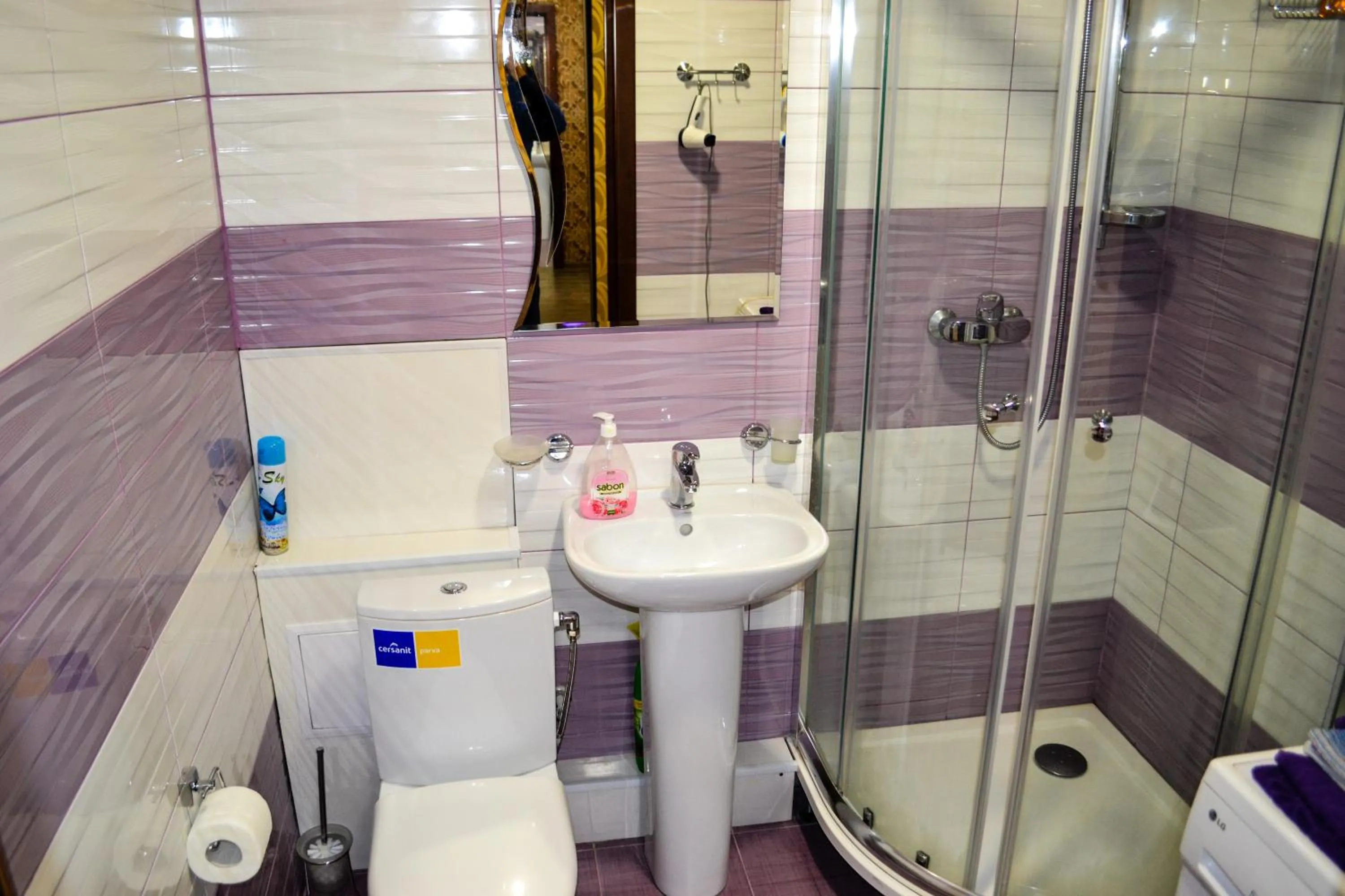 Bathroom in DneprApartments