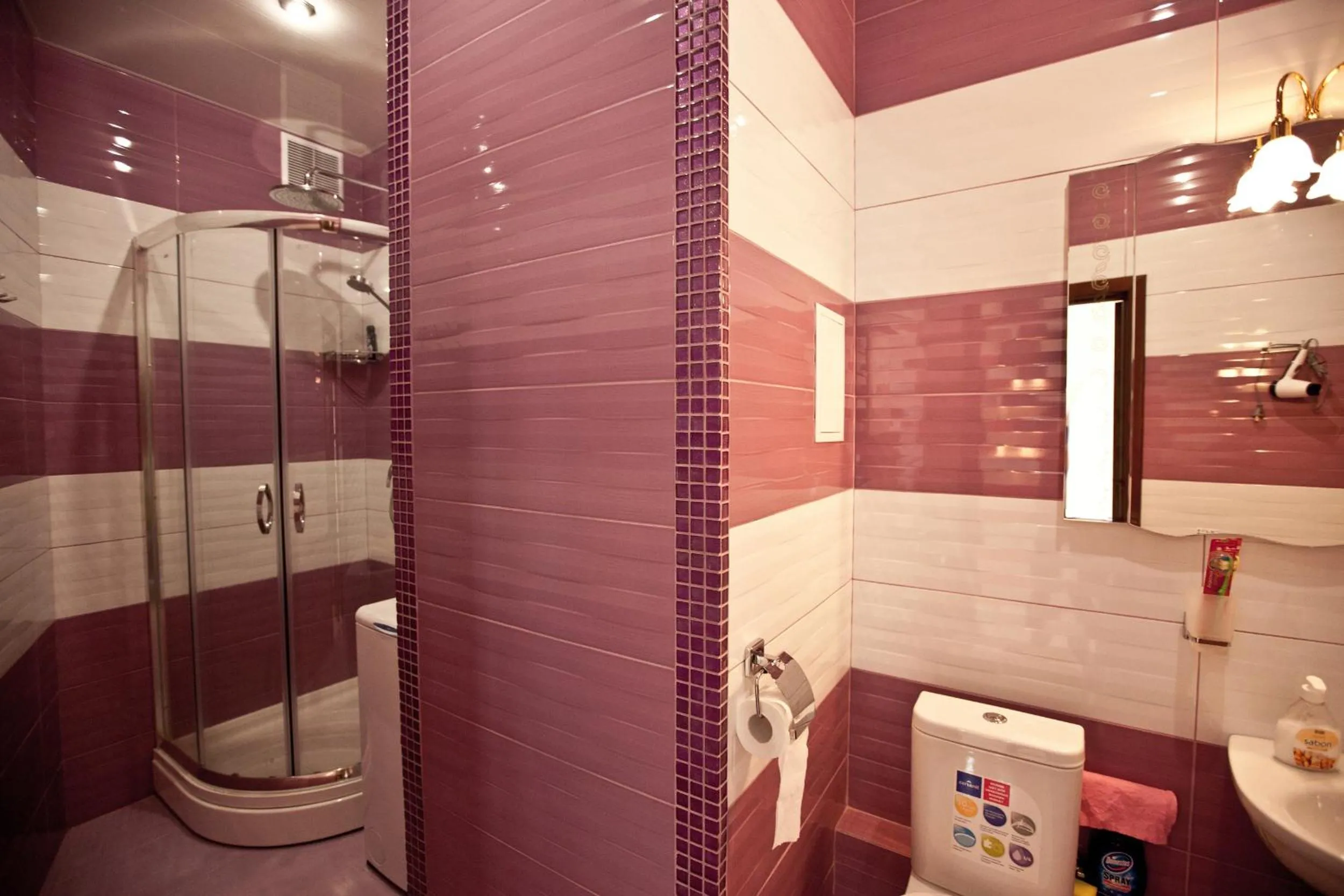 Bathroom in DneprApartments