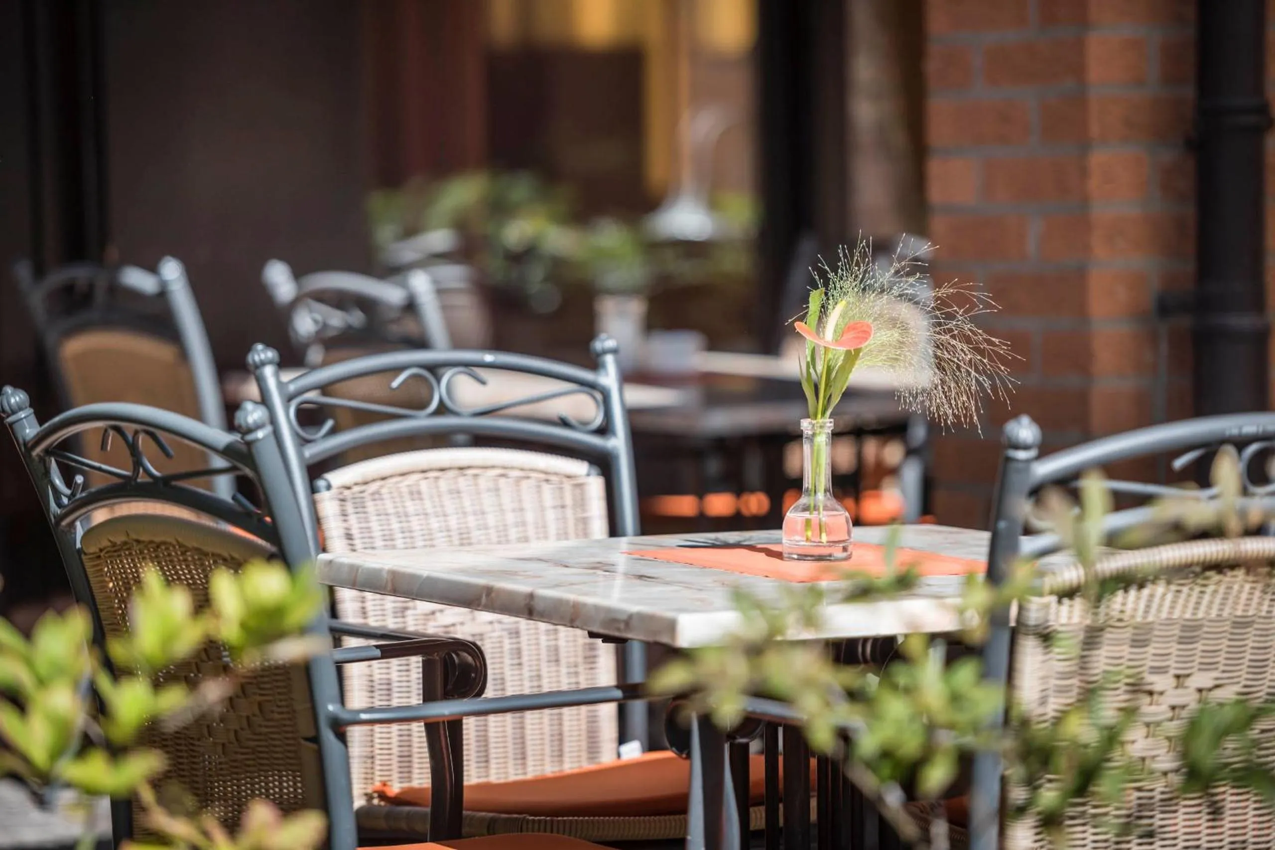 Balcony/Terrace in Hotel am Kurpark