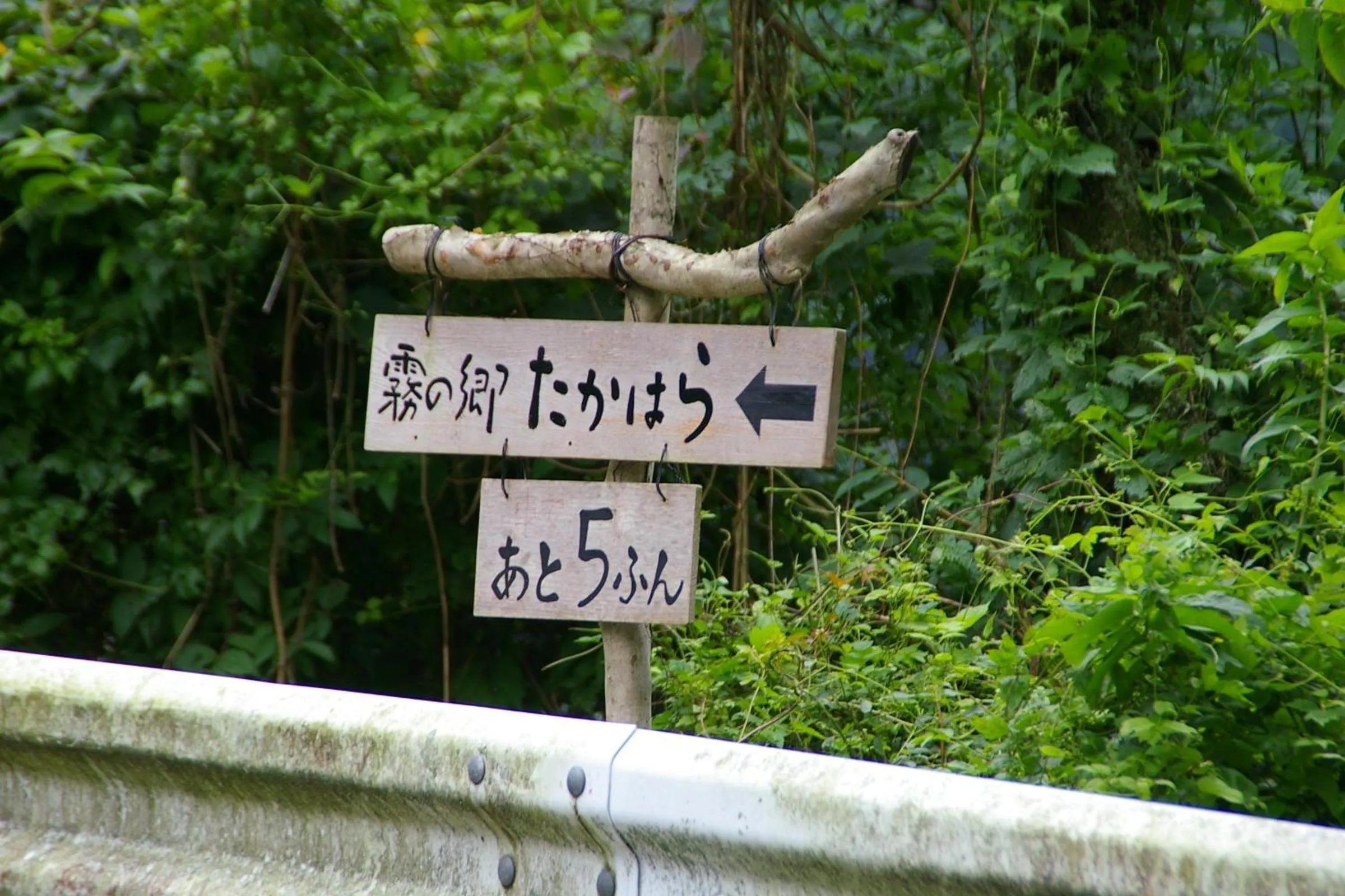 Area and facilities in Kirinosato Takahara