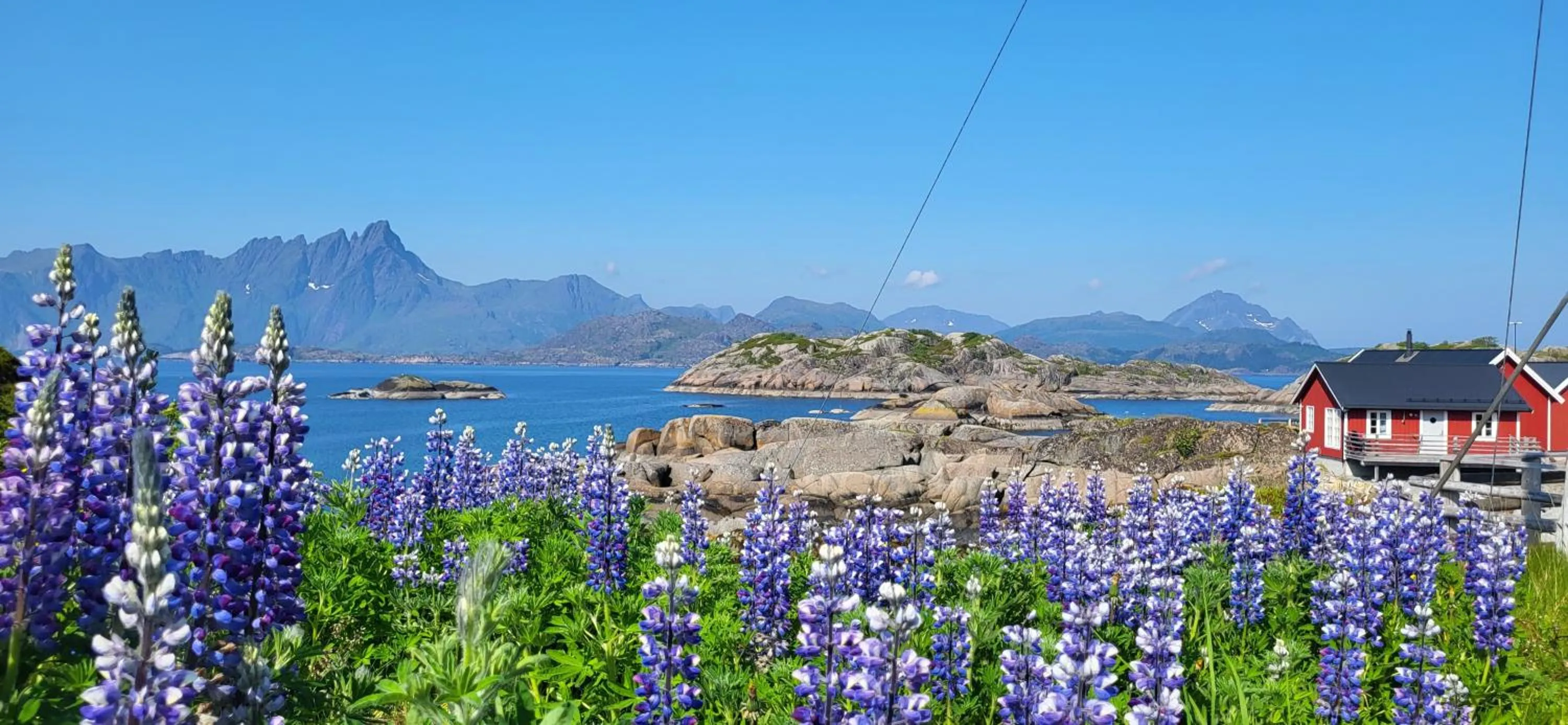 Sea view in Statles Rorbu- og Konferansesenter AS