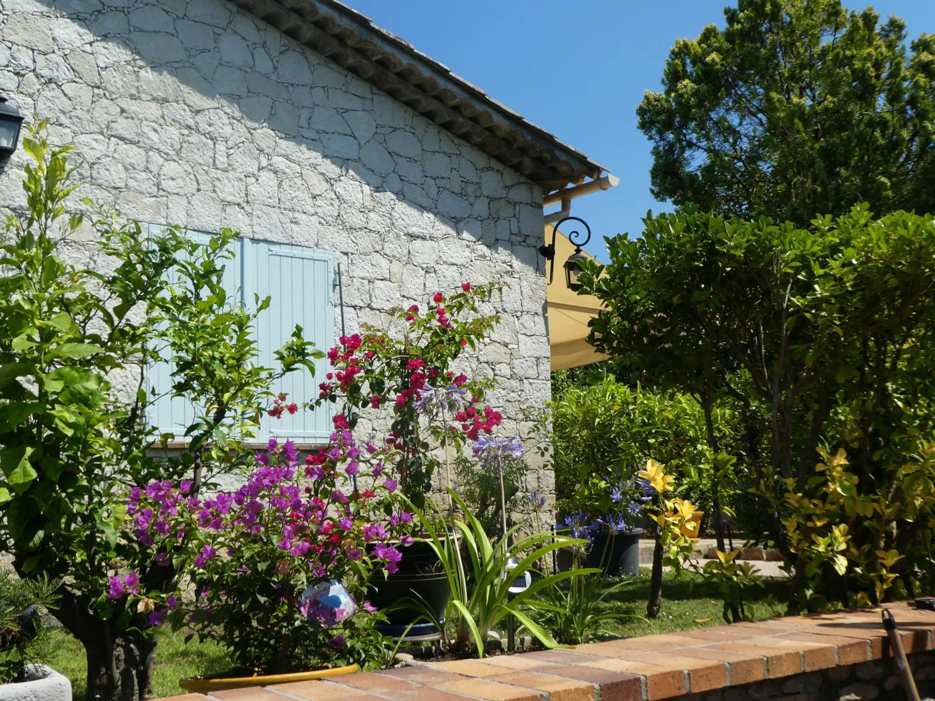 Garden in Villa Alessia