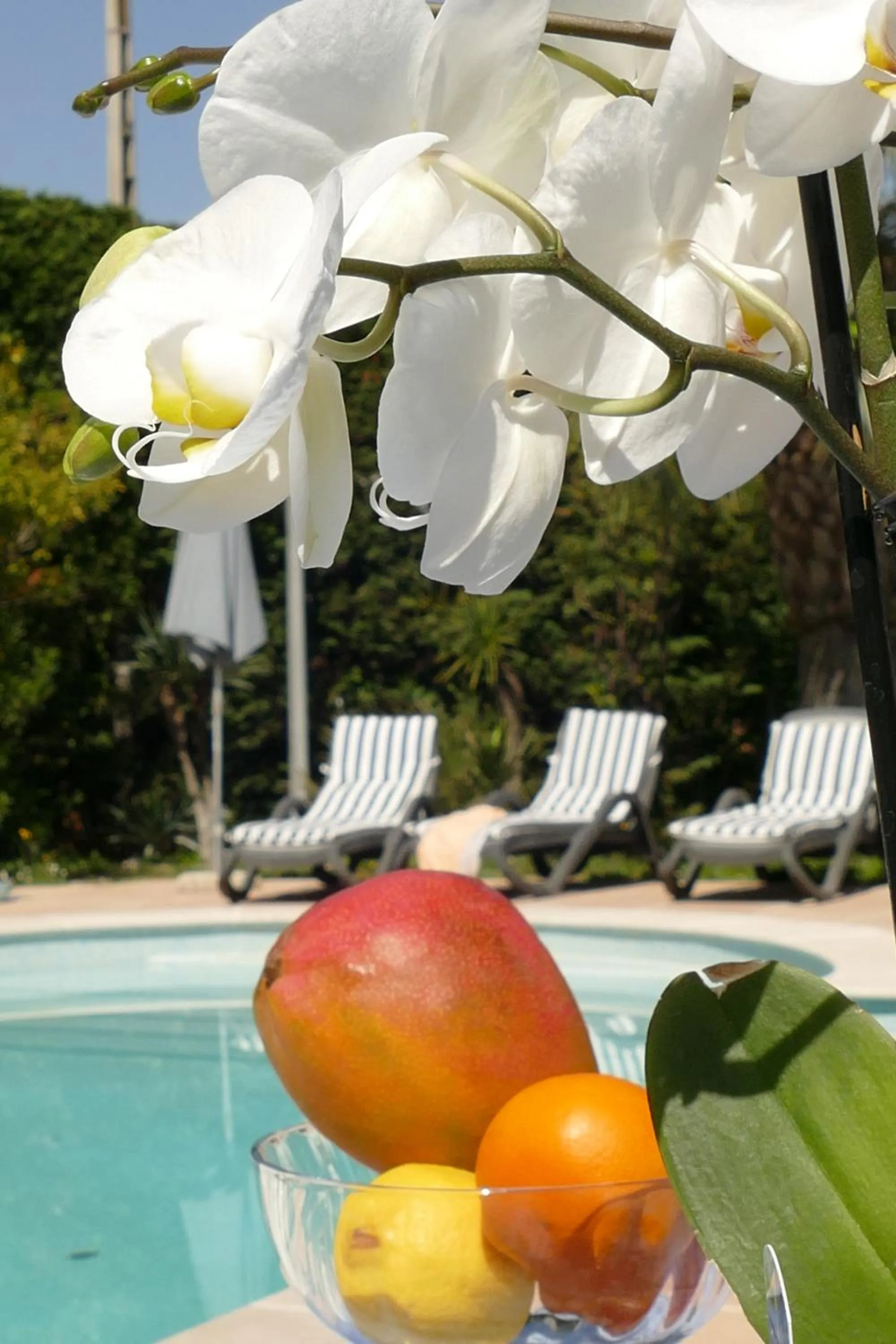 Pool view in Villa Alessia