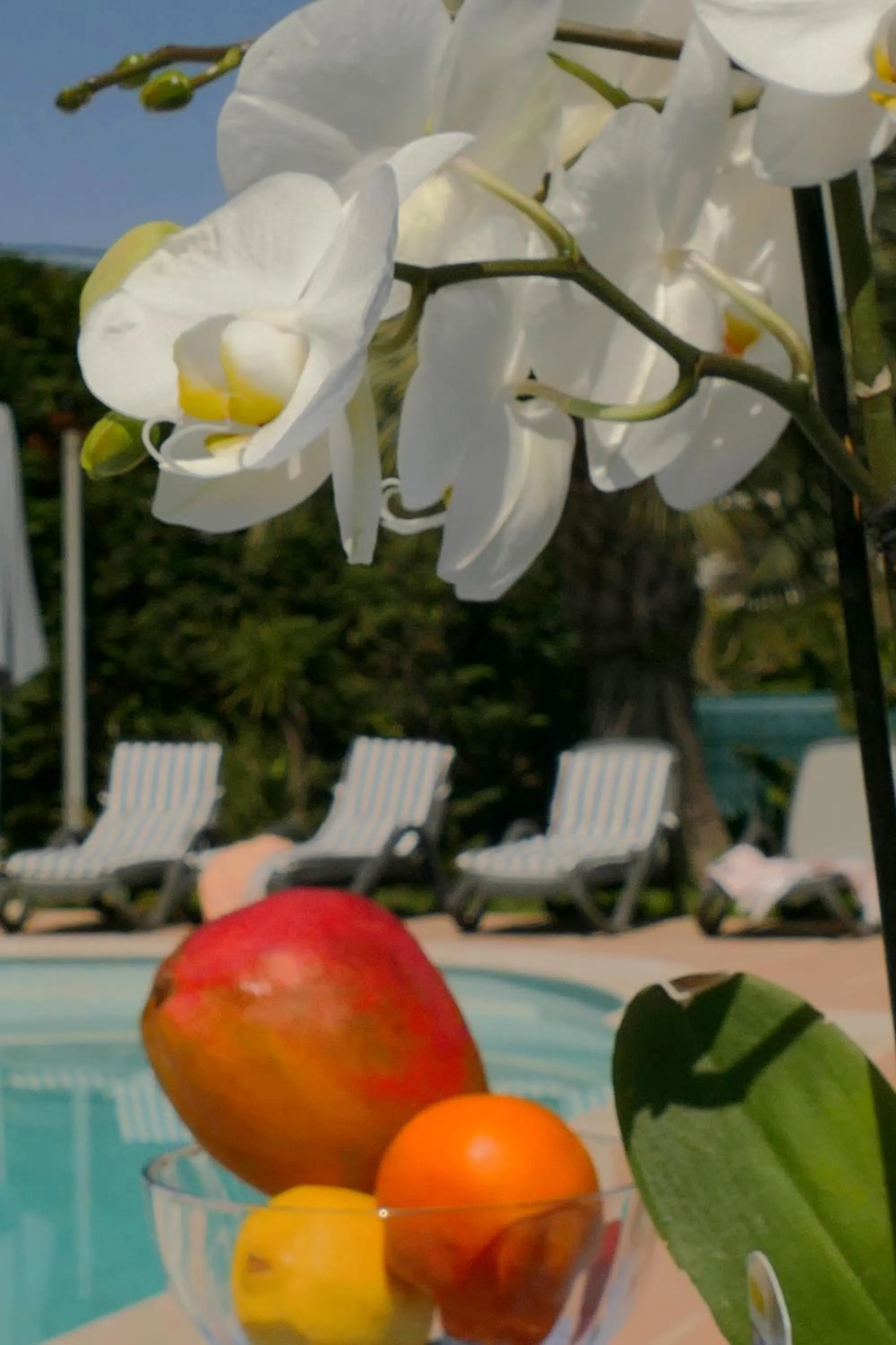 Garden view in Villa Alessia