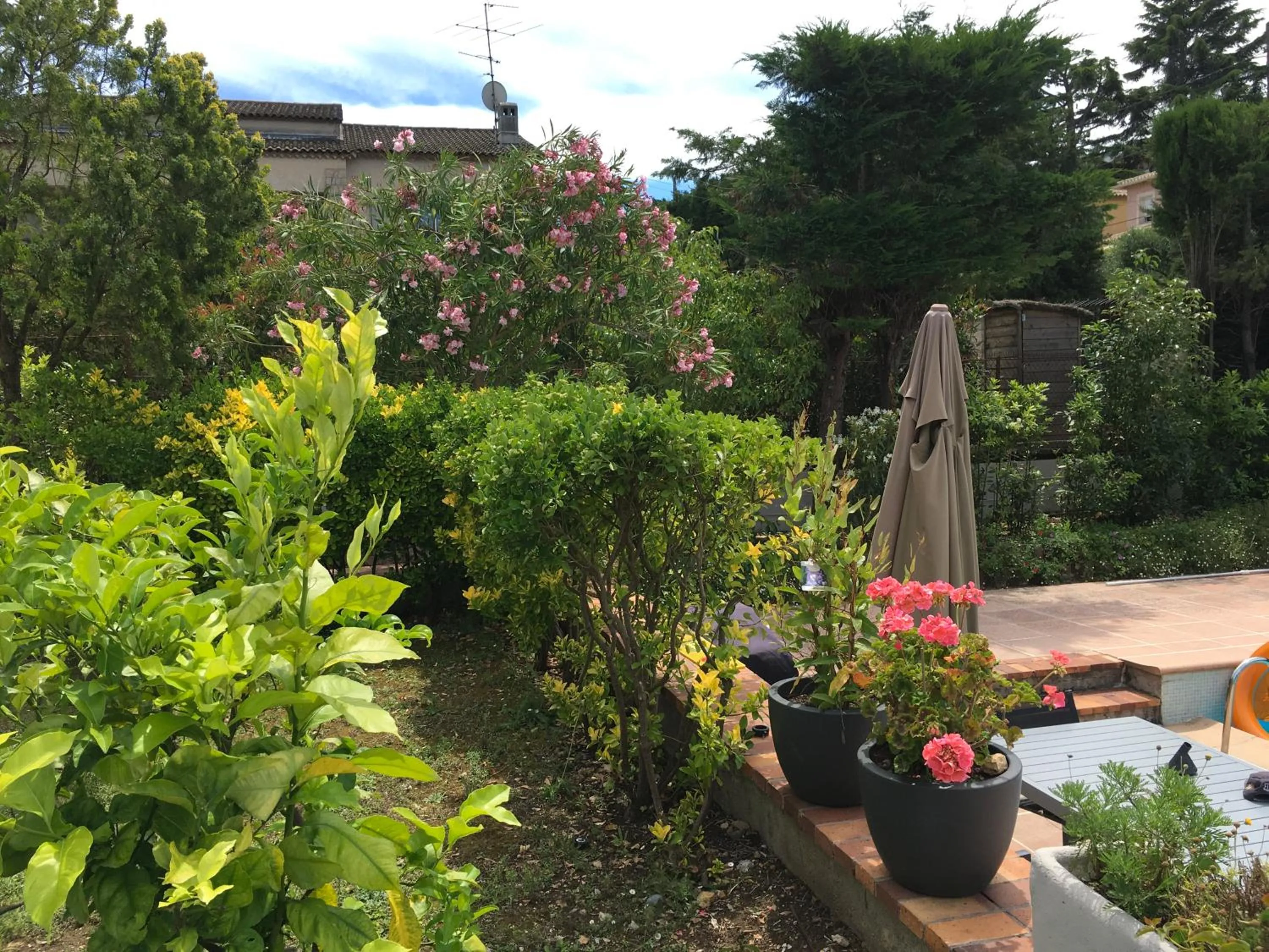 Patio in Villa Alessia