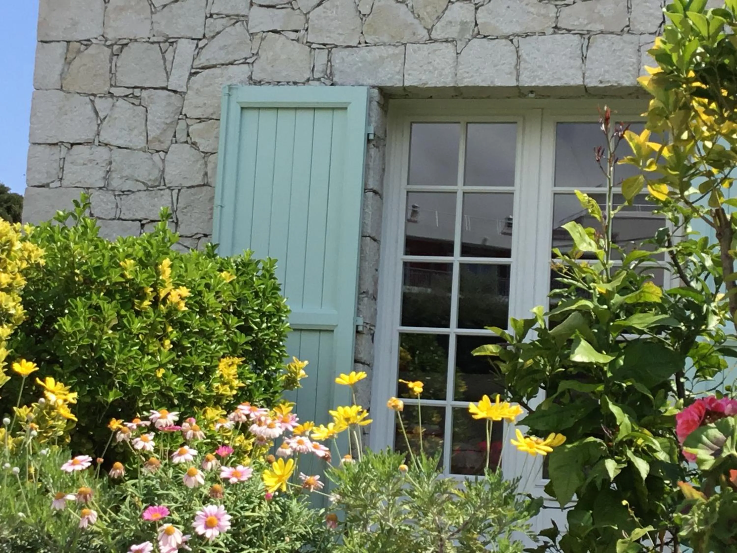 Patio in Villa Alessia