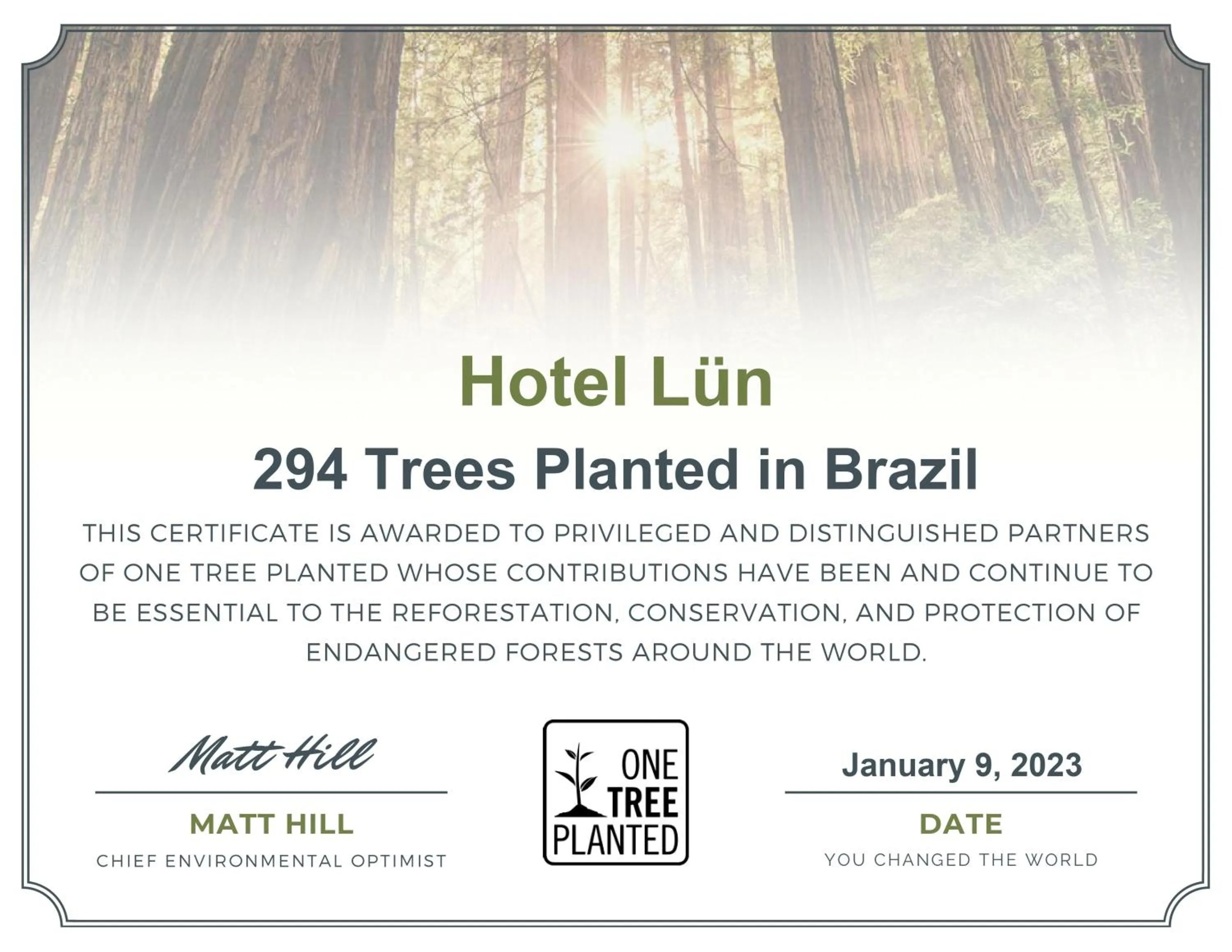 Certificate/Award in Hotel Lün