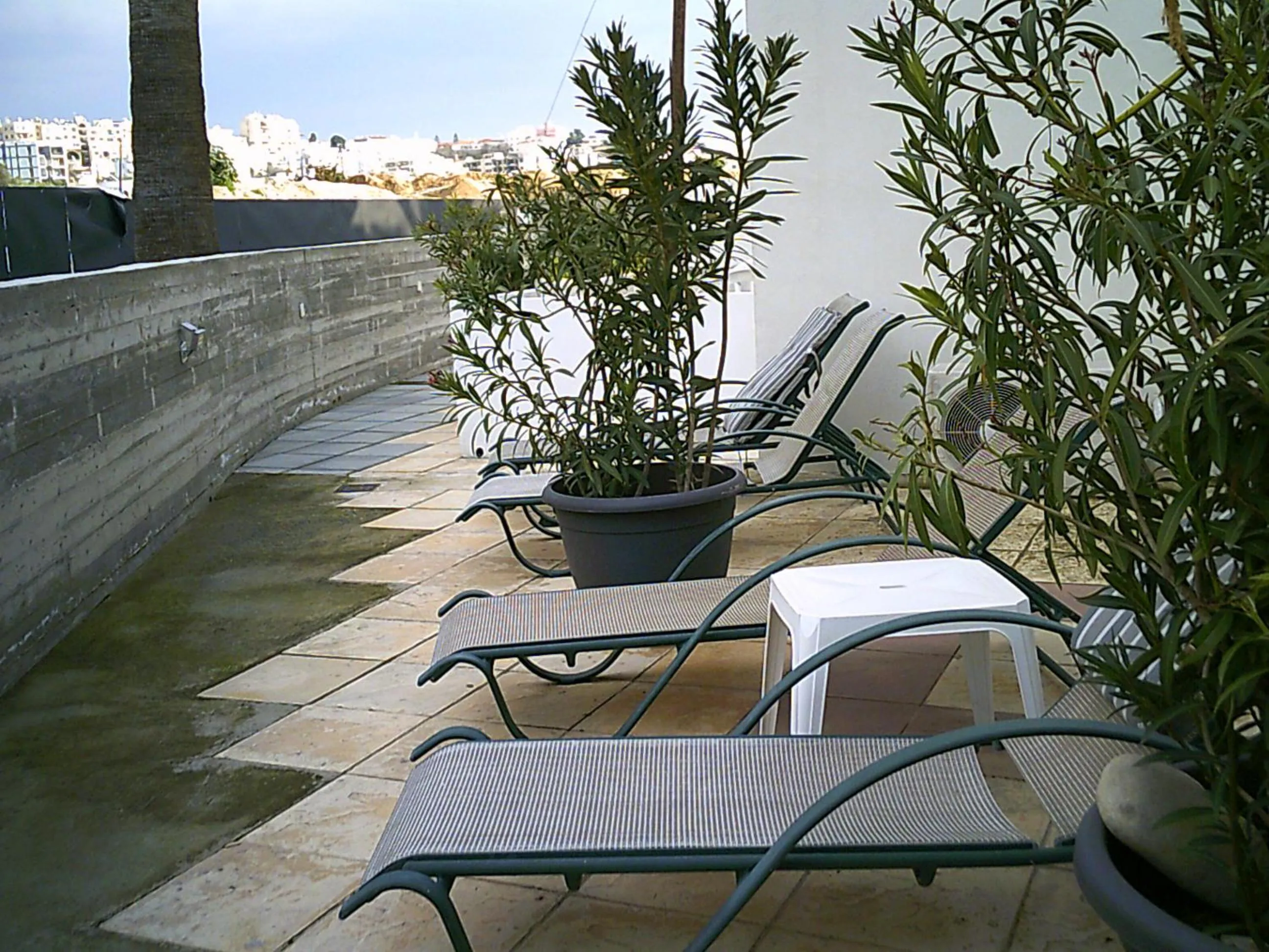 sunbed in Panklitos Tourist Apartments