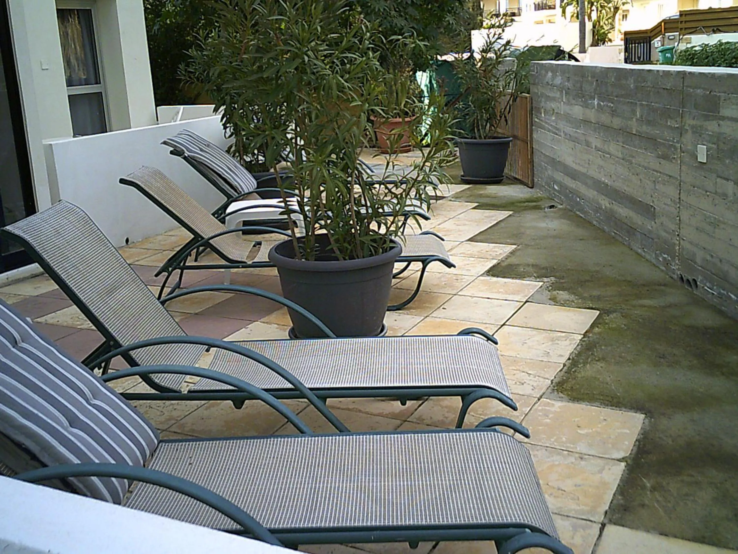 sunbed in Panklitos Tourist Apartments