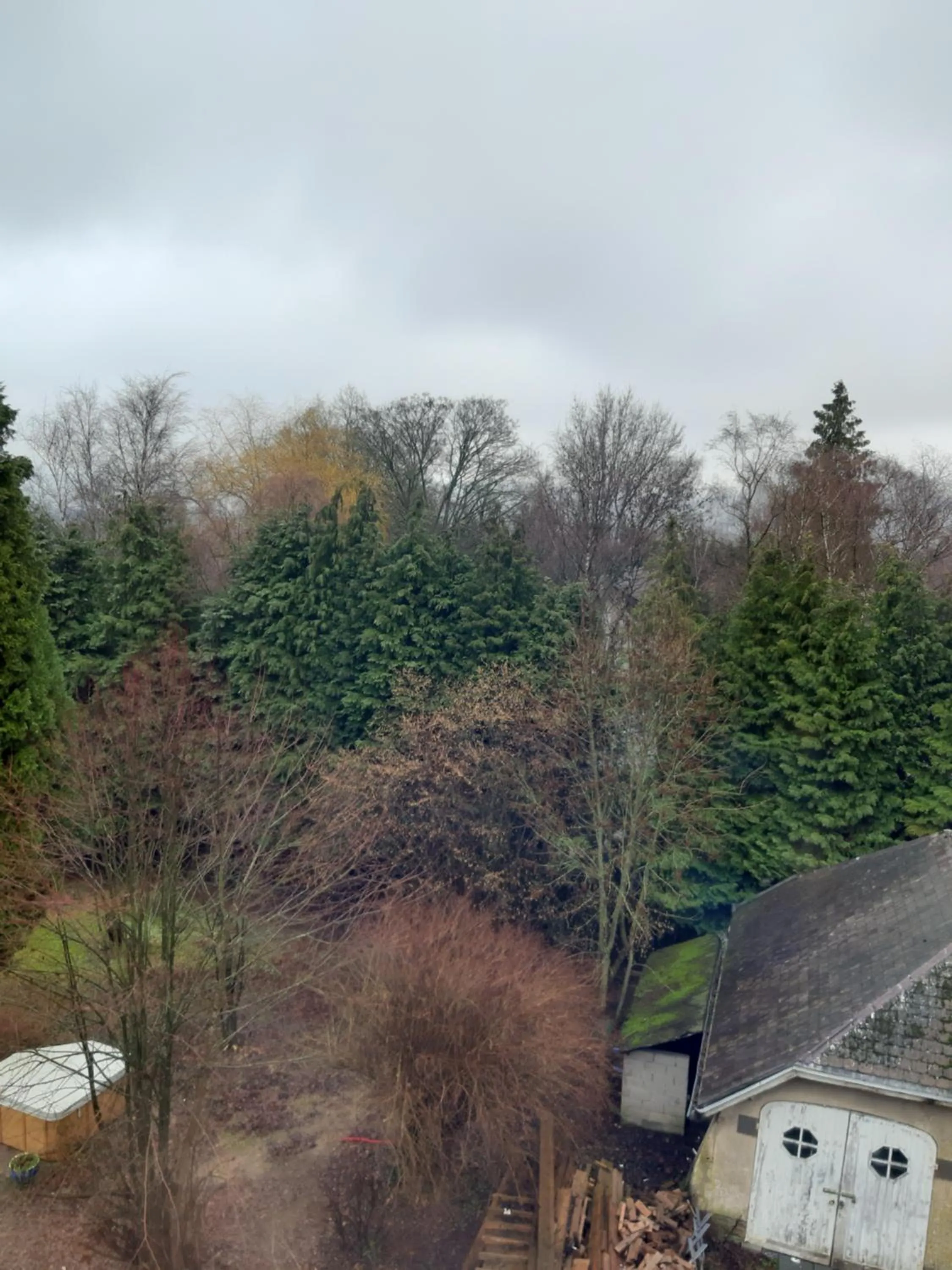 Natural landscape in B&B Chatelet Cremers