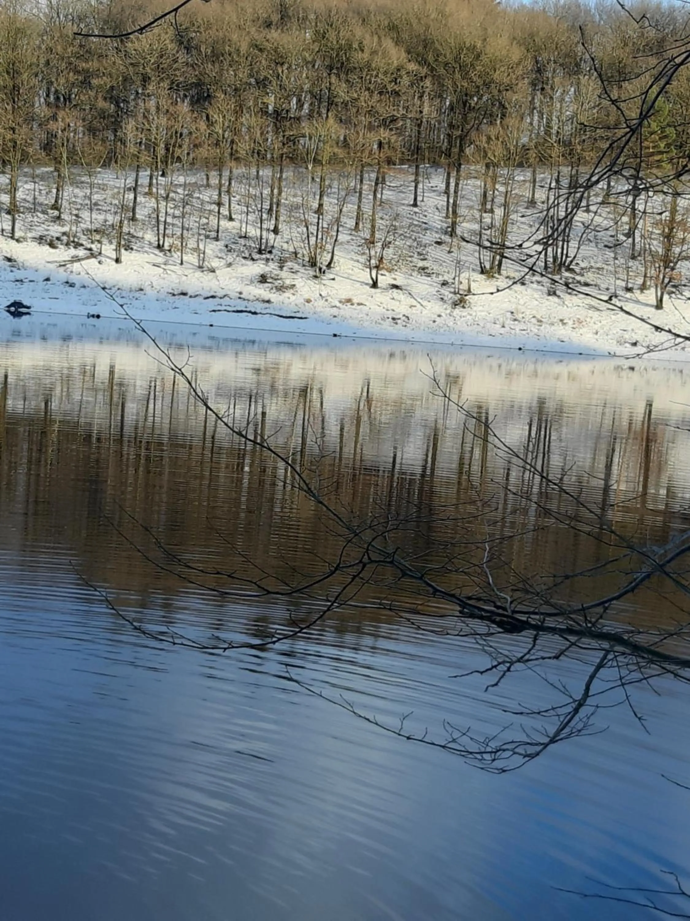 Natural landscape in B&B Chatelet Cremers