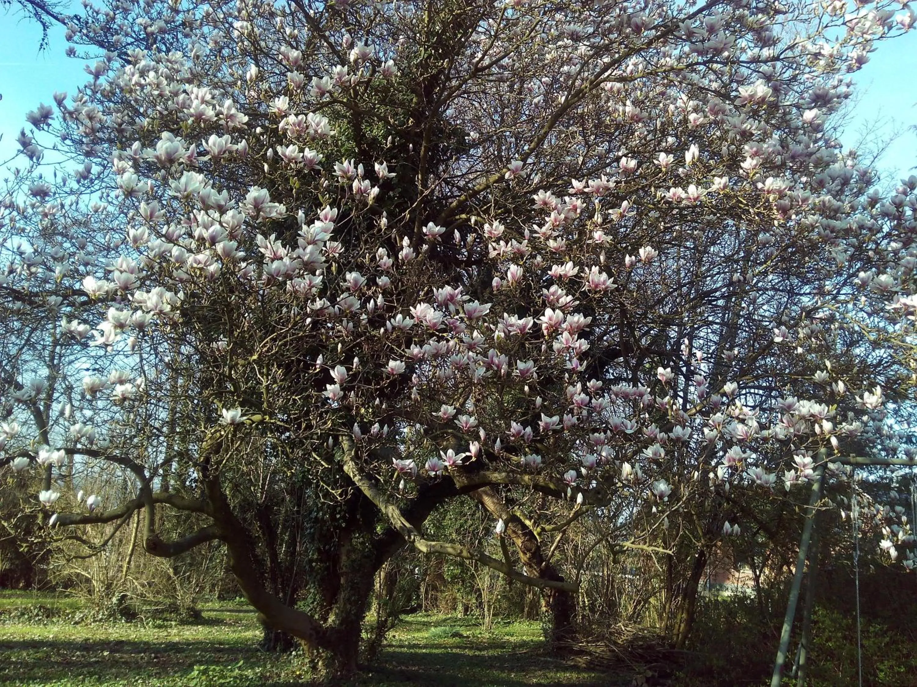Spring in B&B Chatelet Cremers