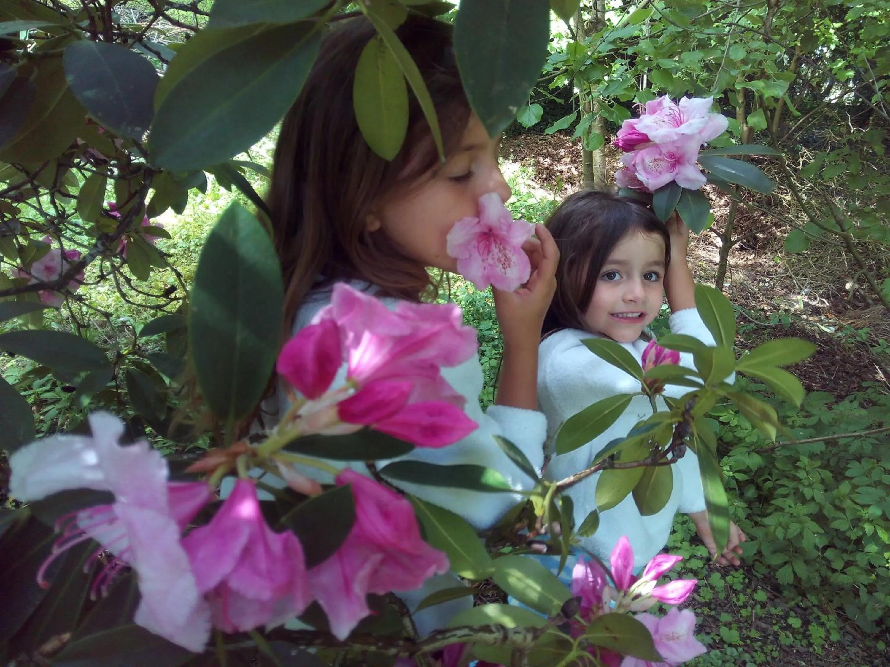 Natural landscape in B&B Chatelet Cremers