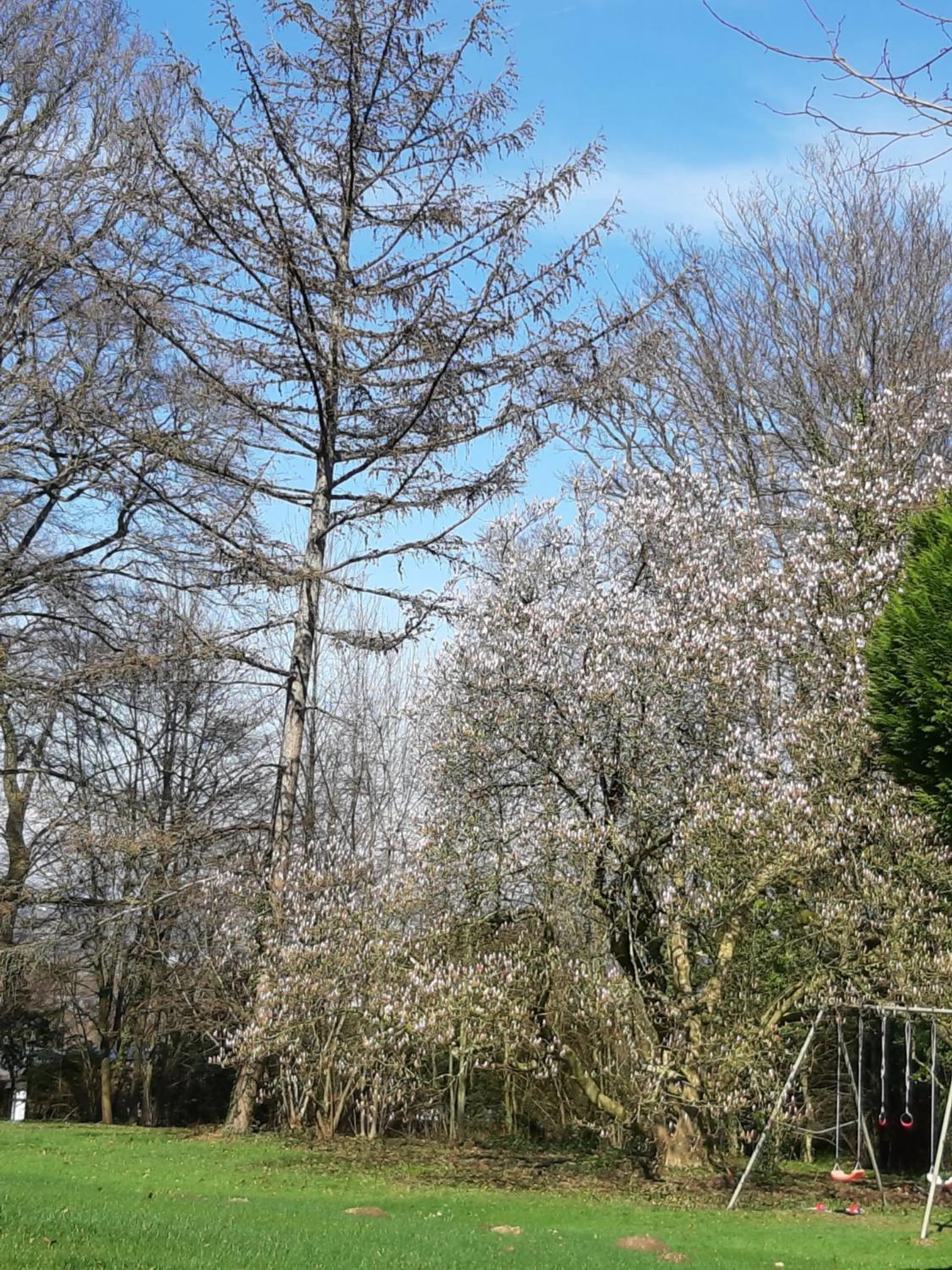 Swimming pool in B&B Chatelet Cremers
