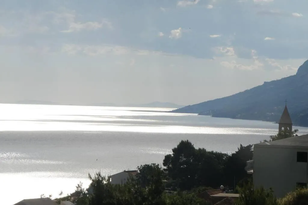 Apartment Dandelion