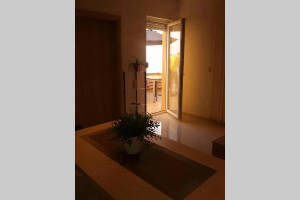 Apartment Dandelion