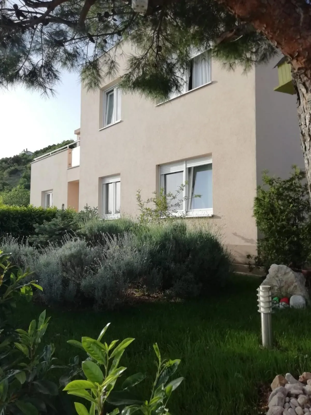 Property building in Apartment Dandelion