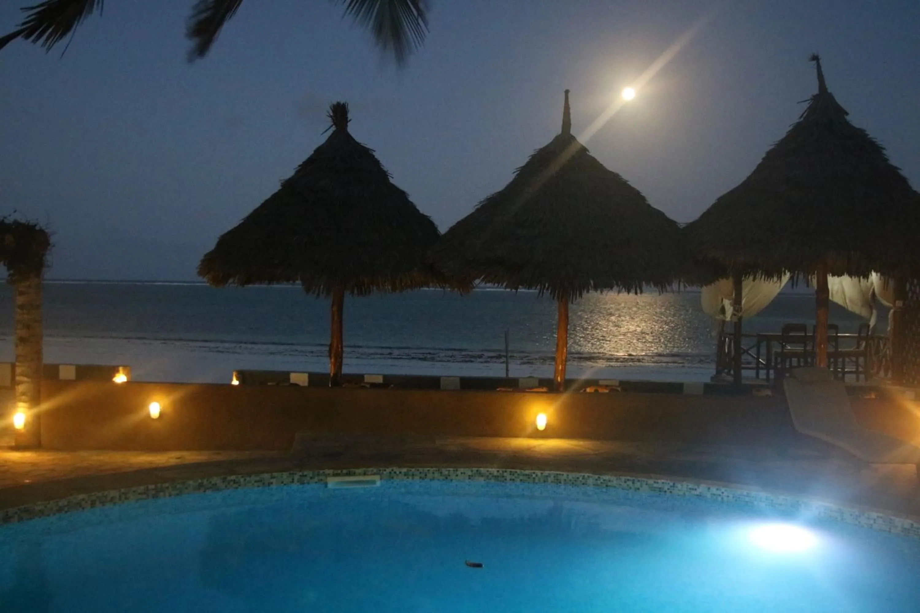 Garden in Zanzibar House Boutique Hotel