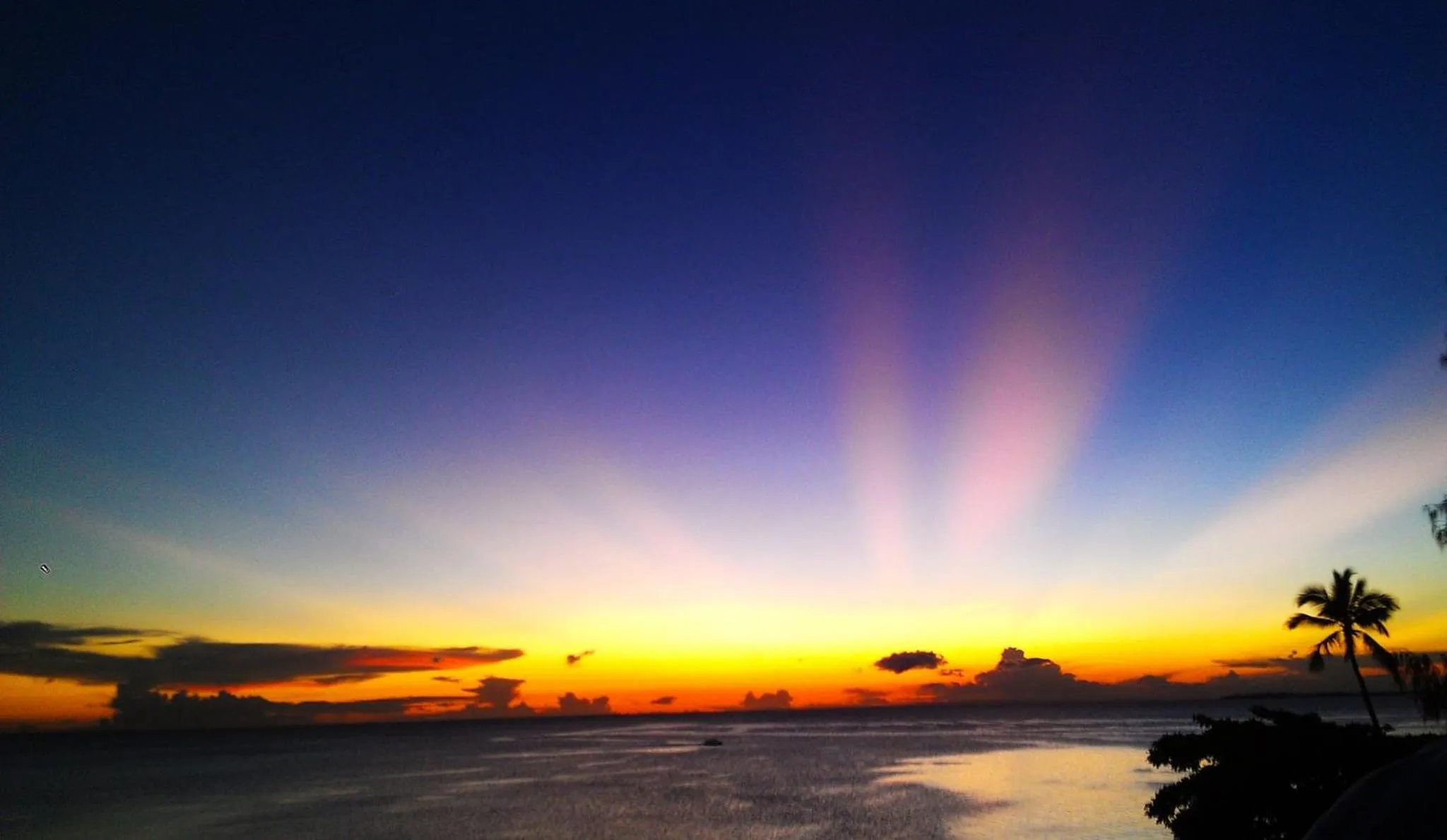Beach in Zanzibar House Boutique Hotel