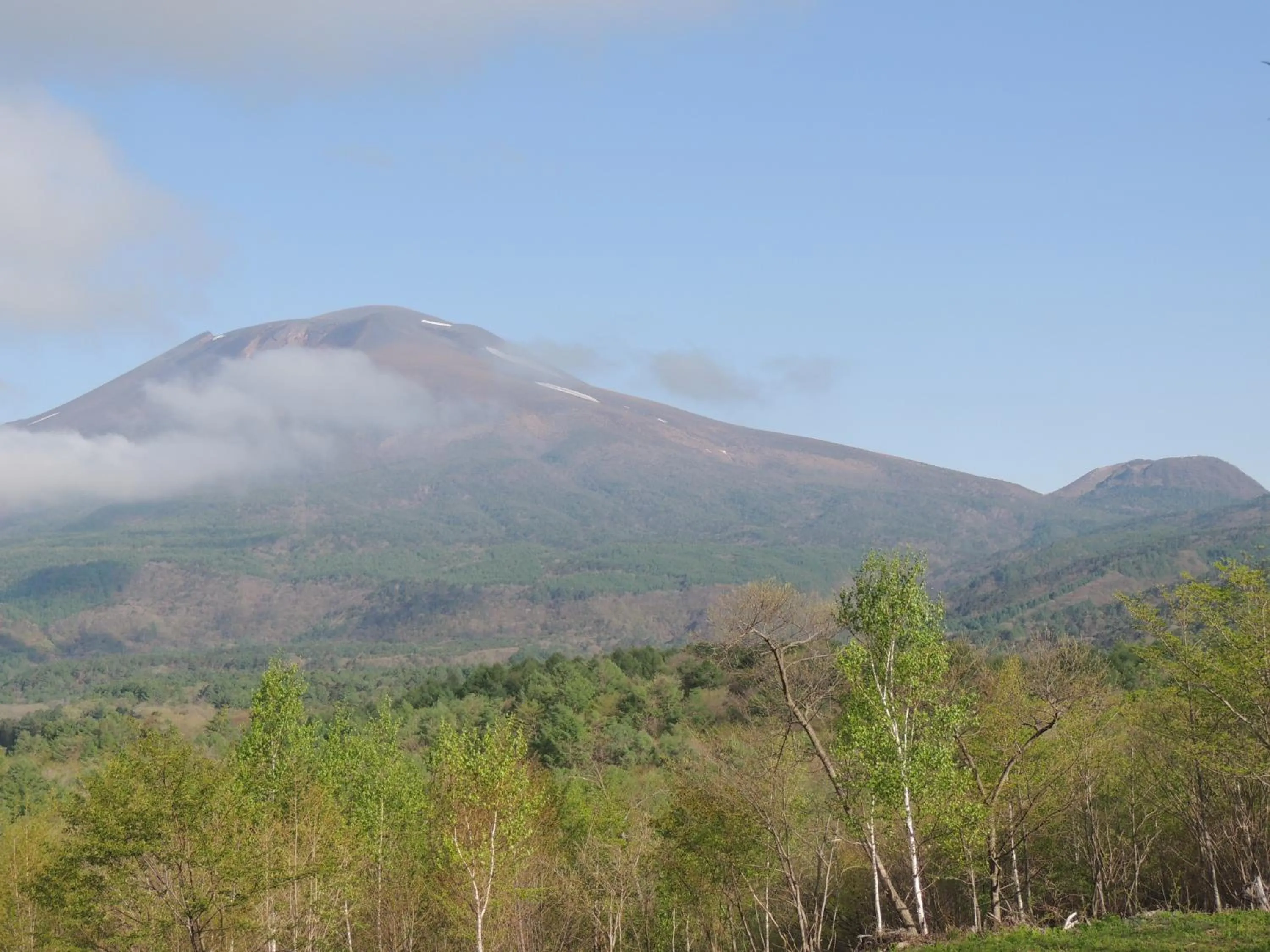 Natural landscape in B&B Hotel Hyochoan