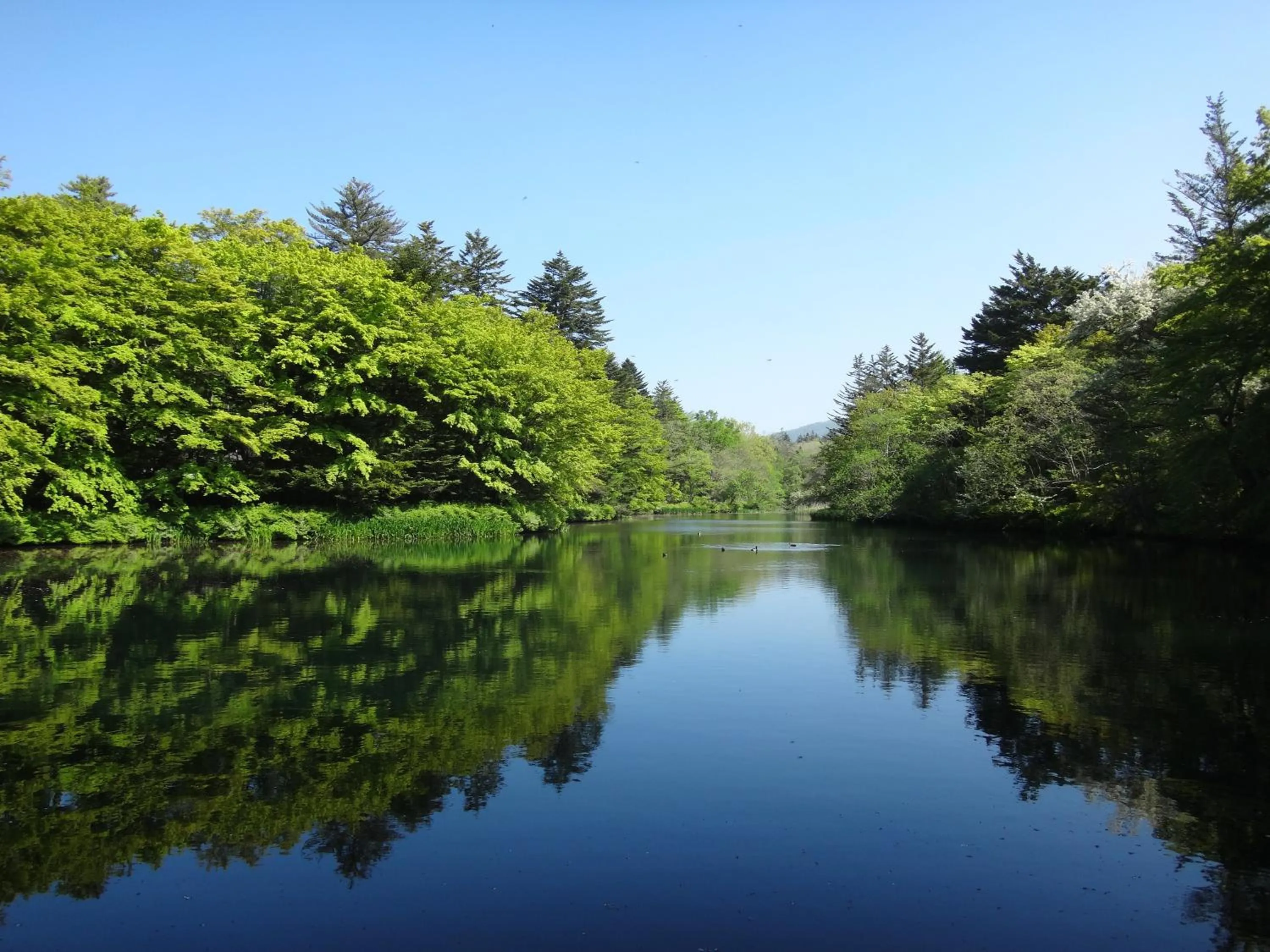 Natural landscape in B&B Hotel Hyochoan