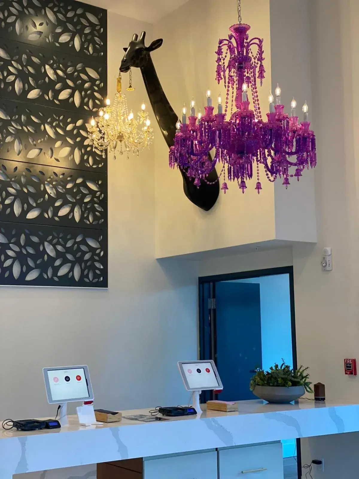 Lobby or reception in Kompose Boutique Hotel Sarasota Lobby or reception in Kompose Boutique Hotel Sarasota