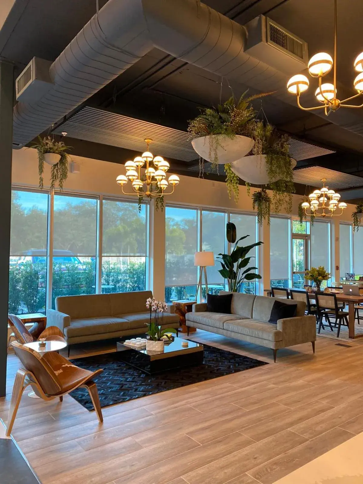 Living room in Kompose Boutique Hotel Sarasota Living room in Kompose Boutique Hotel Sarasota