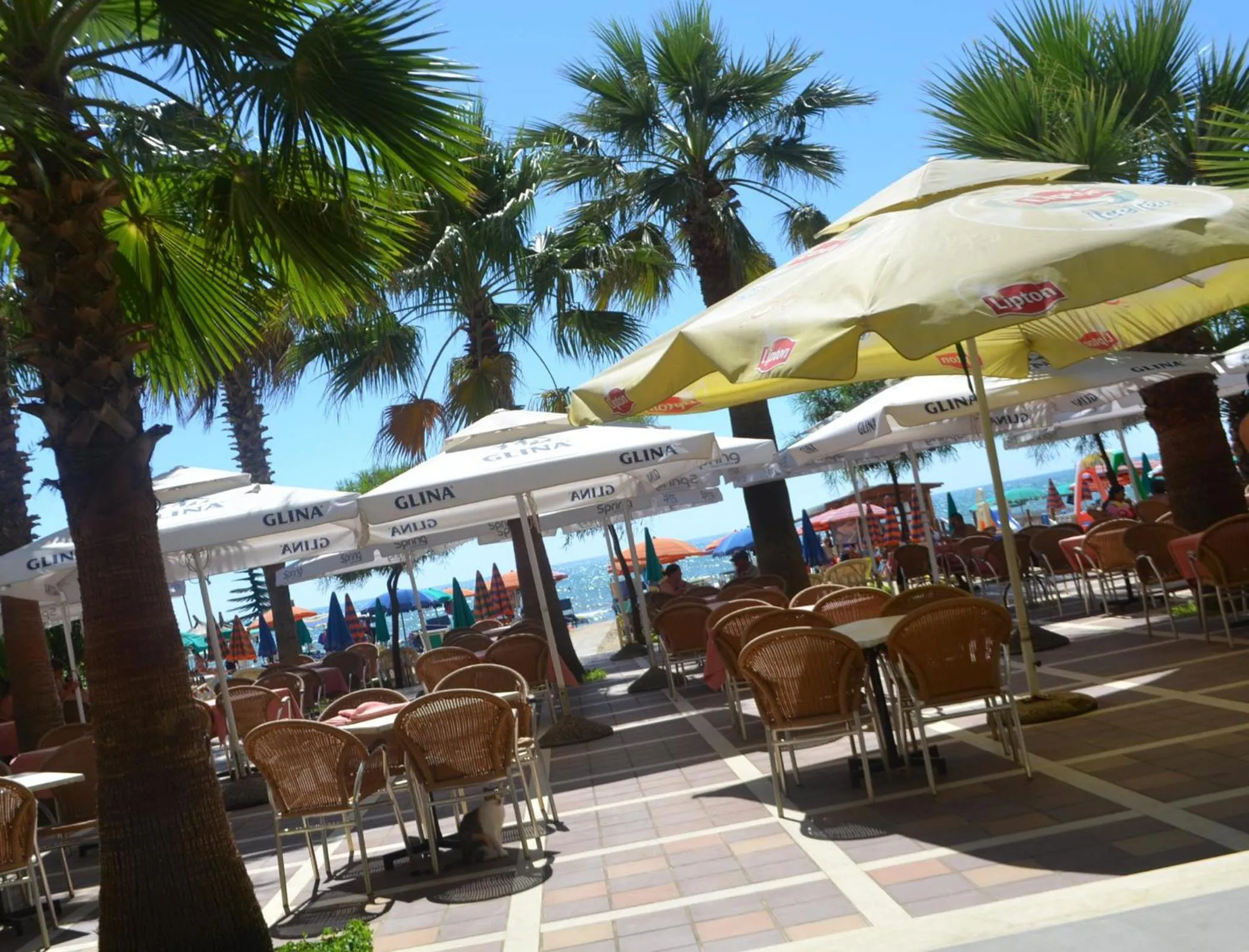 Balcony/Terrace in Hotel Adriatik 2