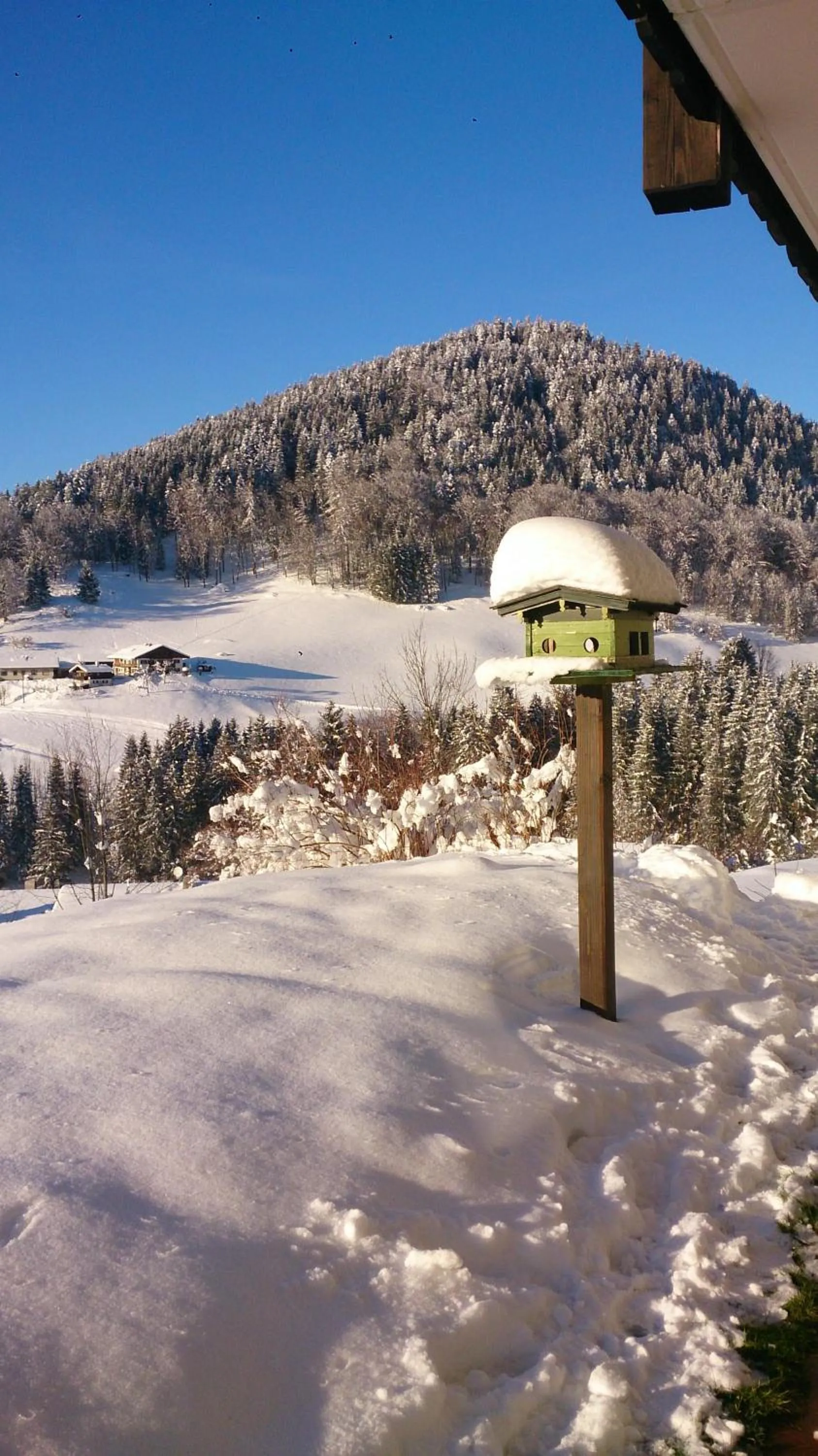 Winter in Alpenhotel Denninglehen