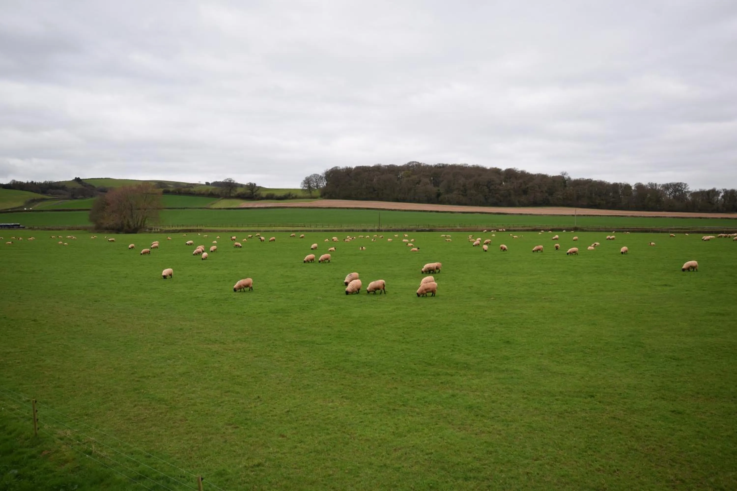 Natural landscape in Bournestream