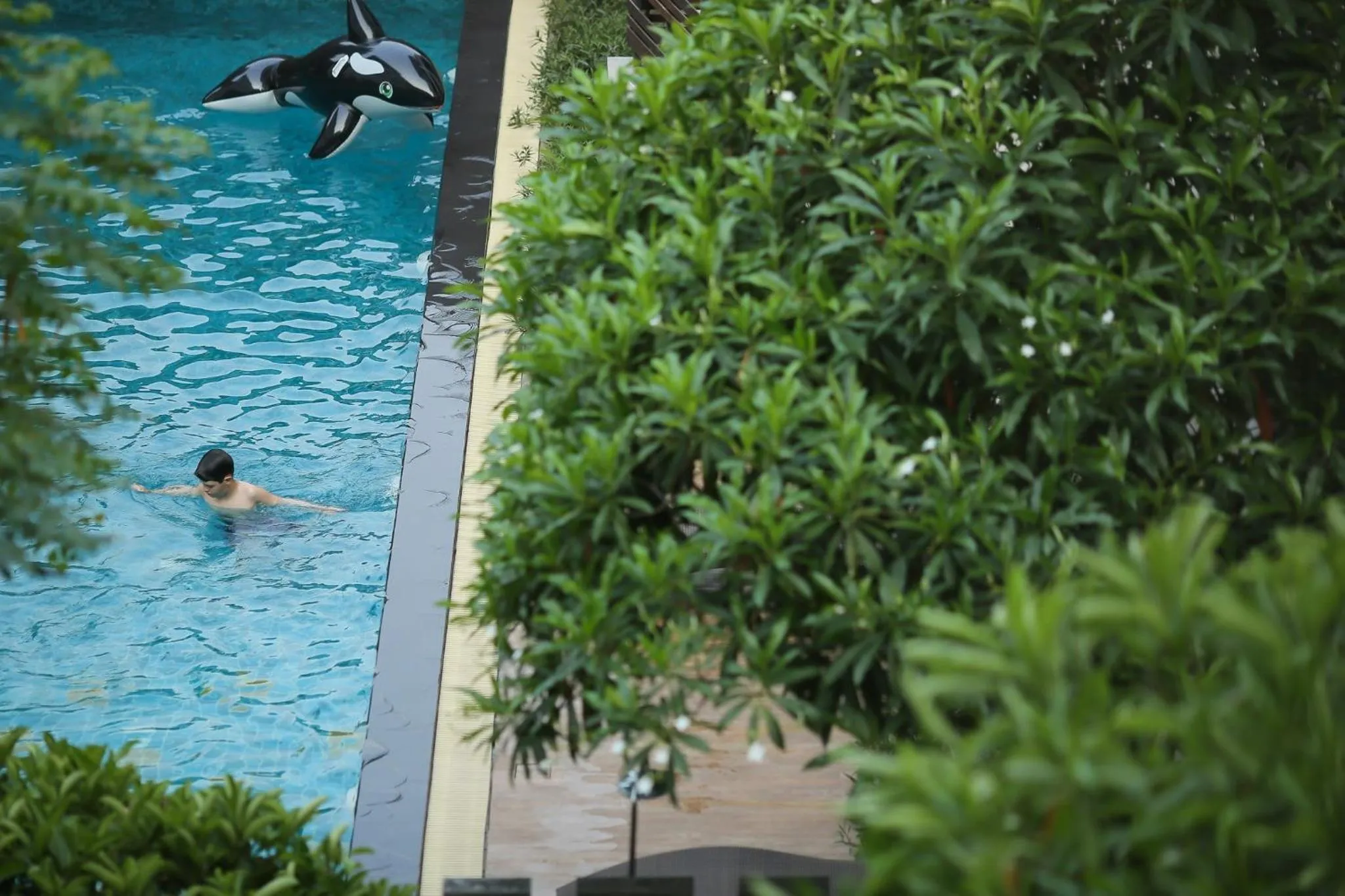 Swimming pool in Le Patta Resort & Hotel Chiang Rai