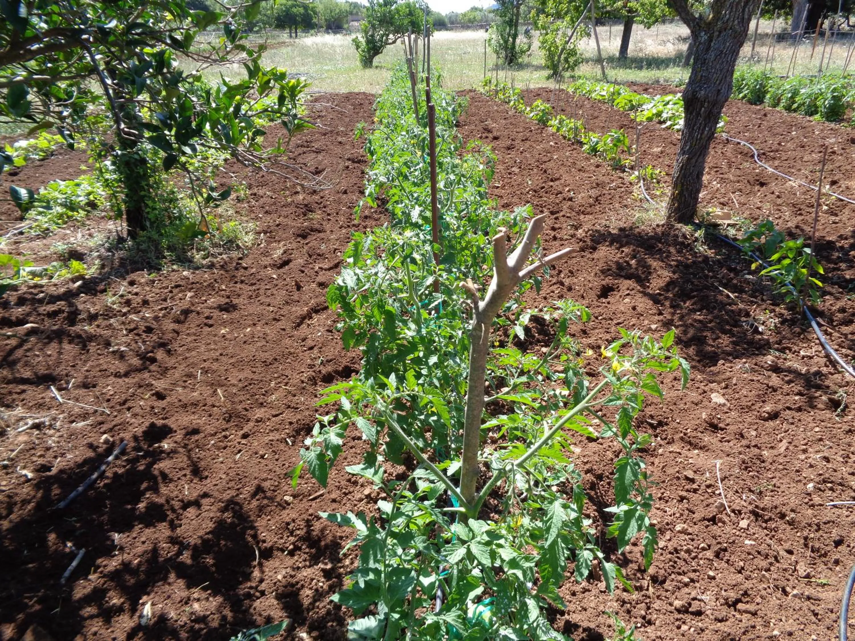 Other in Agroturismo Na Set Centes - Adults Only