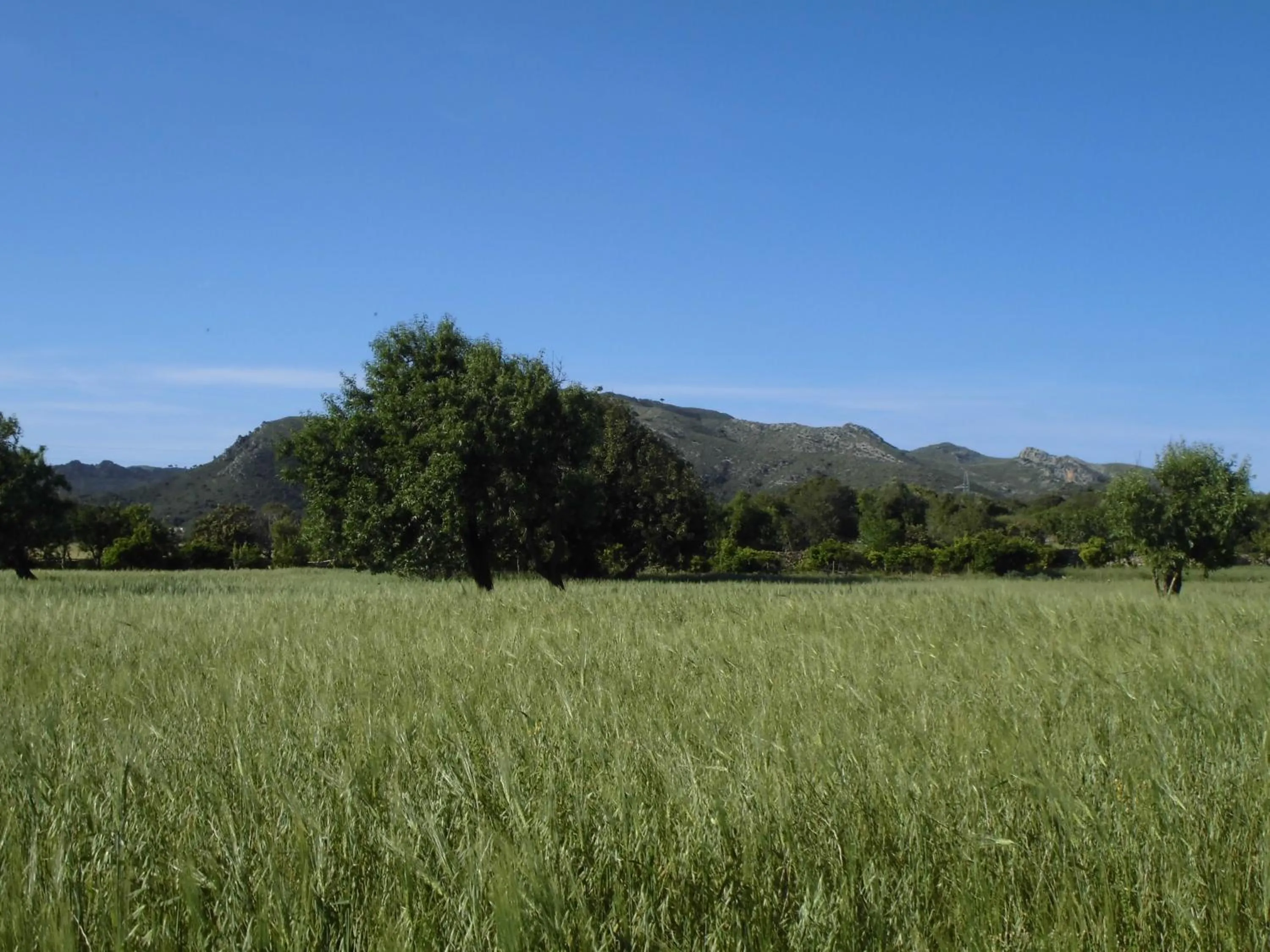 Other in Agroturismo Na Set Centes - Adults Only