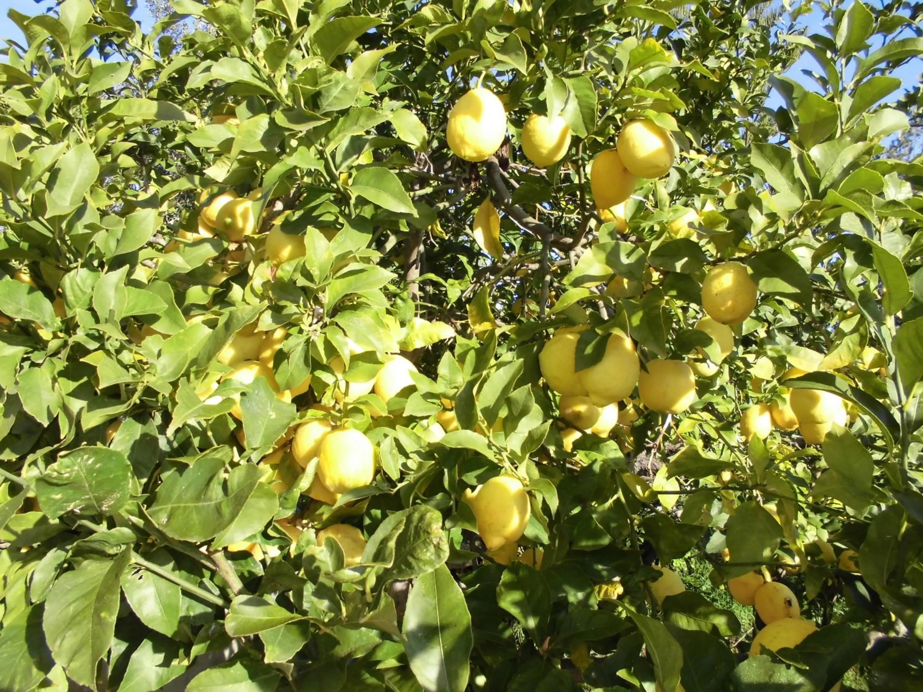 Other in Agroturismo Na Set Centes - Adults Only