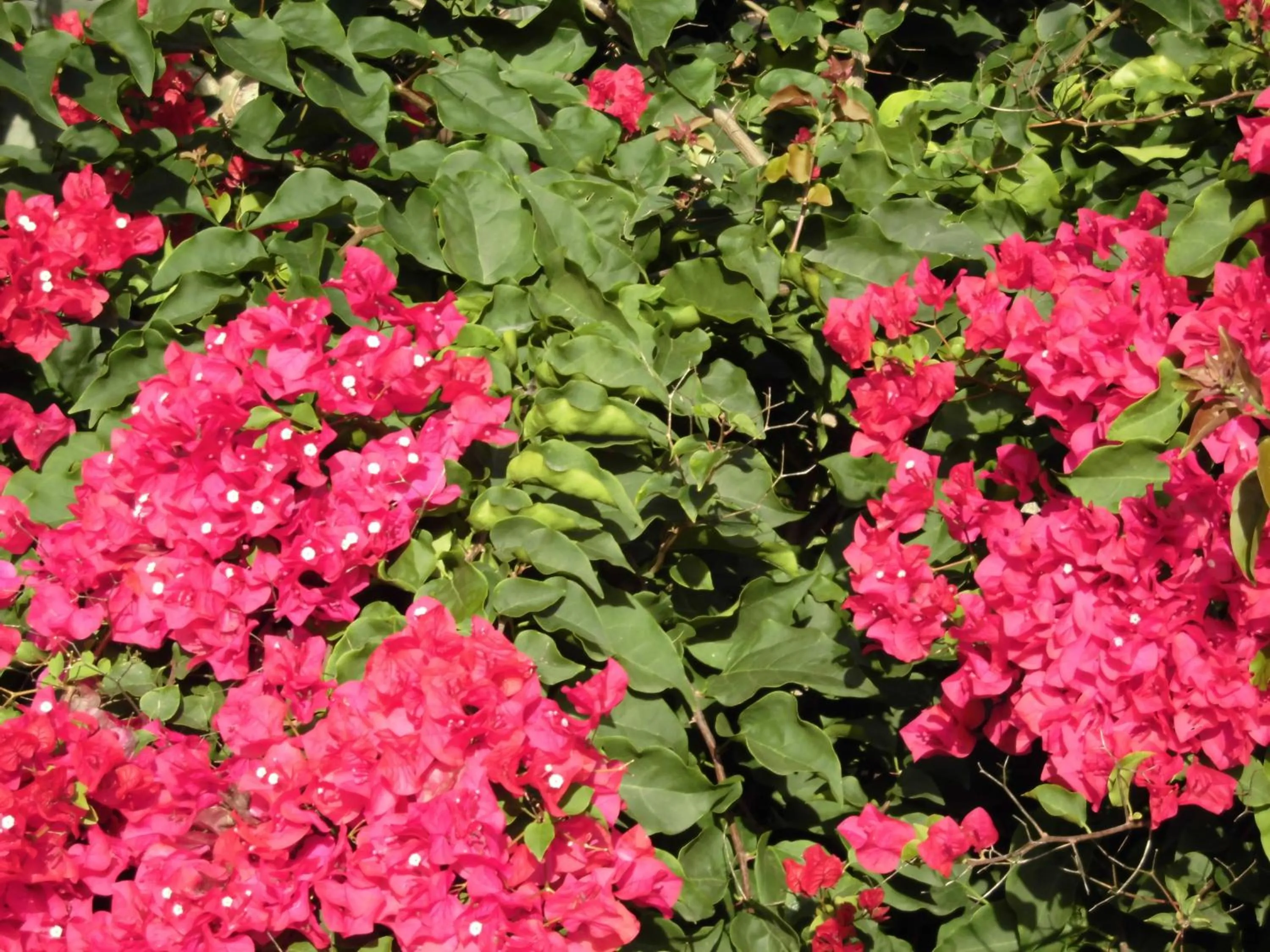 Other in Agroturismo Na Set Centes - Adults Only