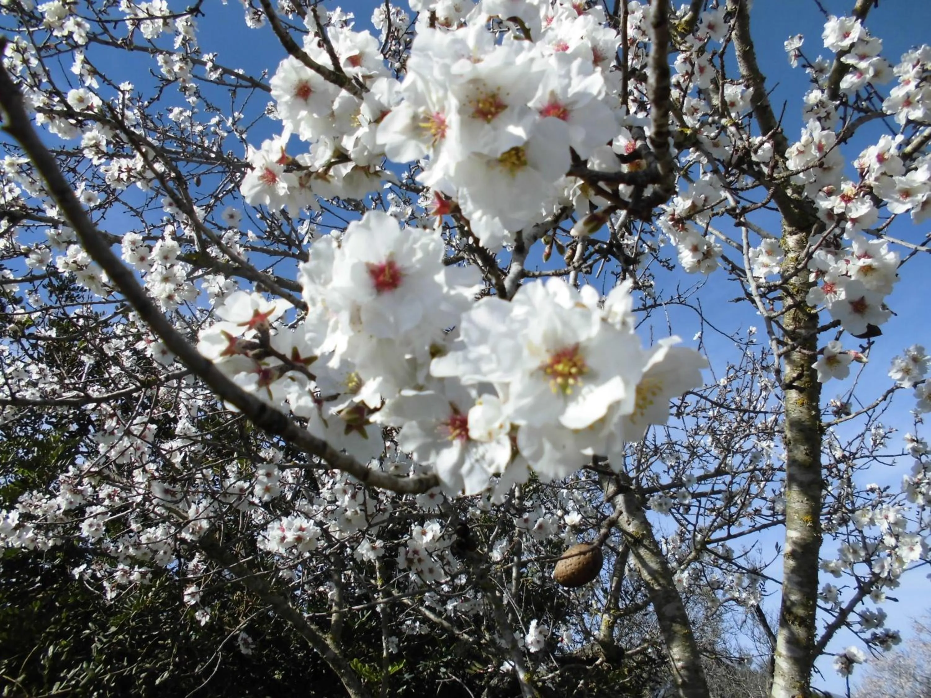 Other in Agroturismo Na Set Centes - Adults Only