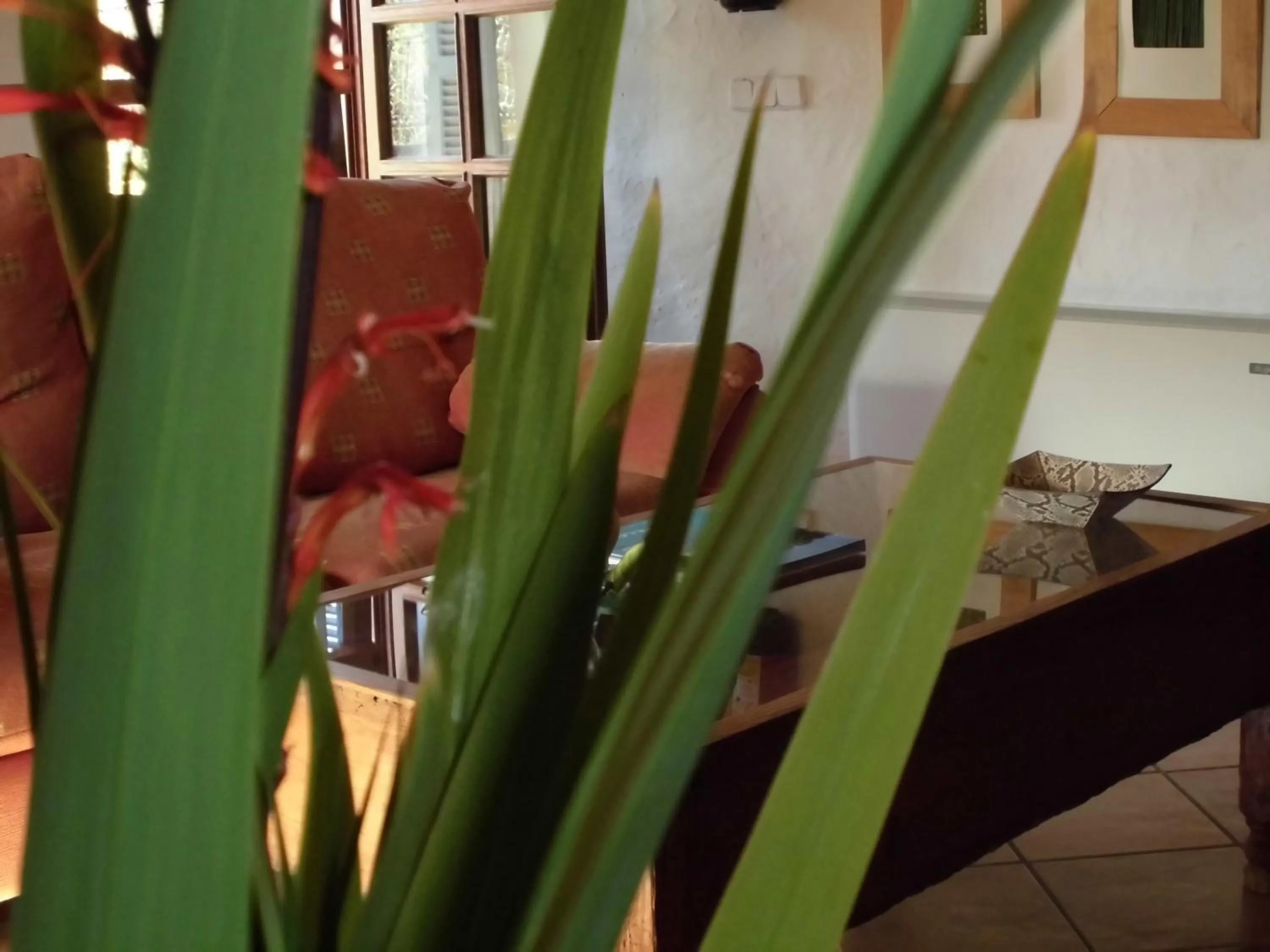 Other in Agroturismo Na Set Centes - Adults Only