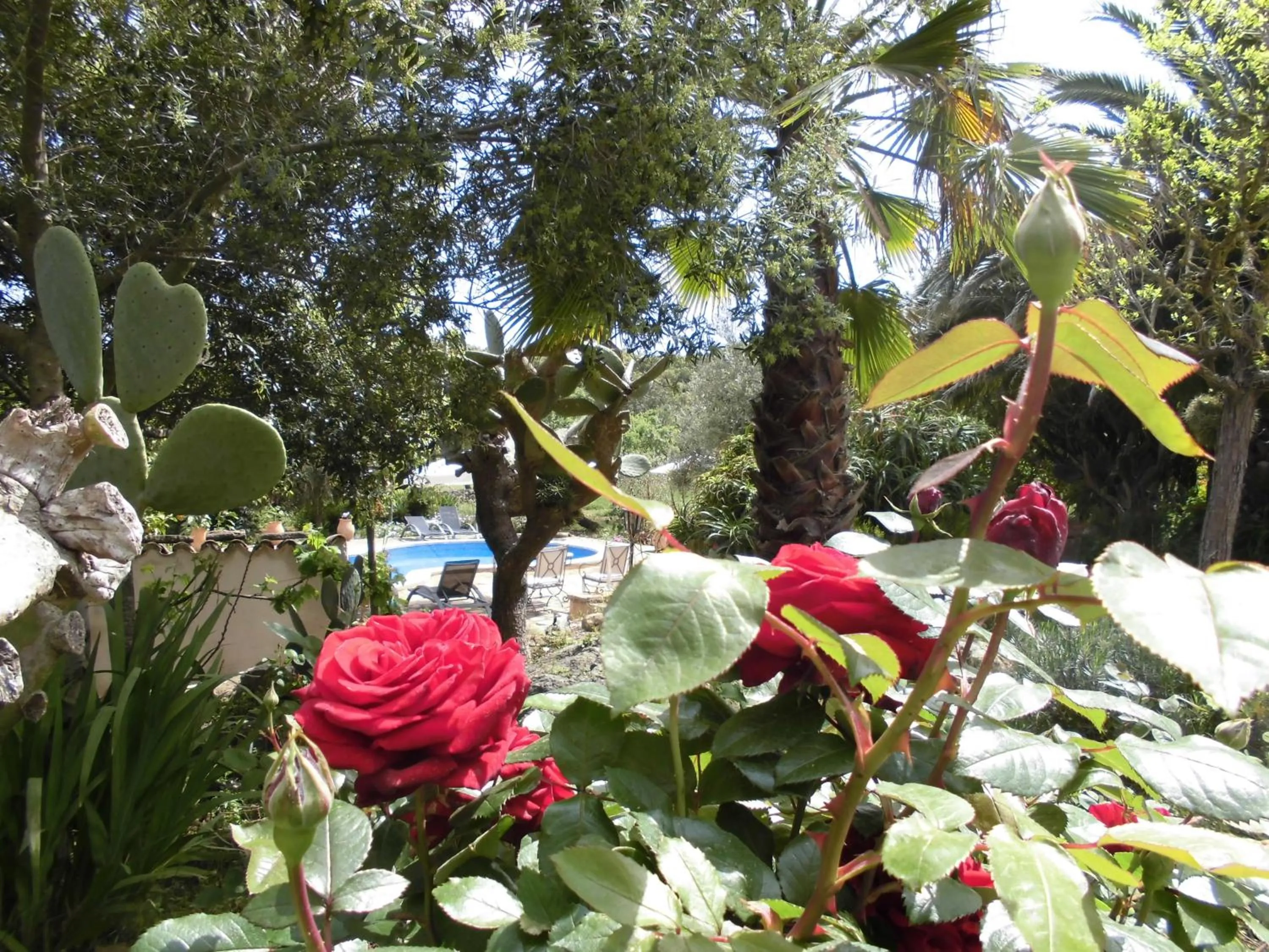 Other in Agroturismo Na Set Centes - Adults Only