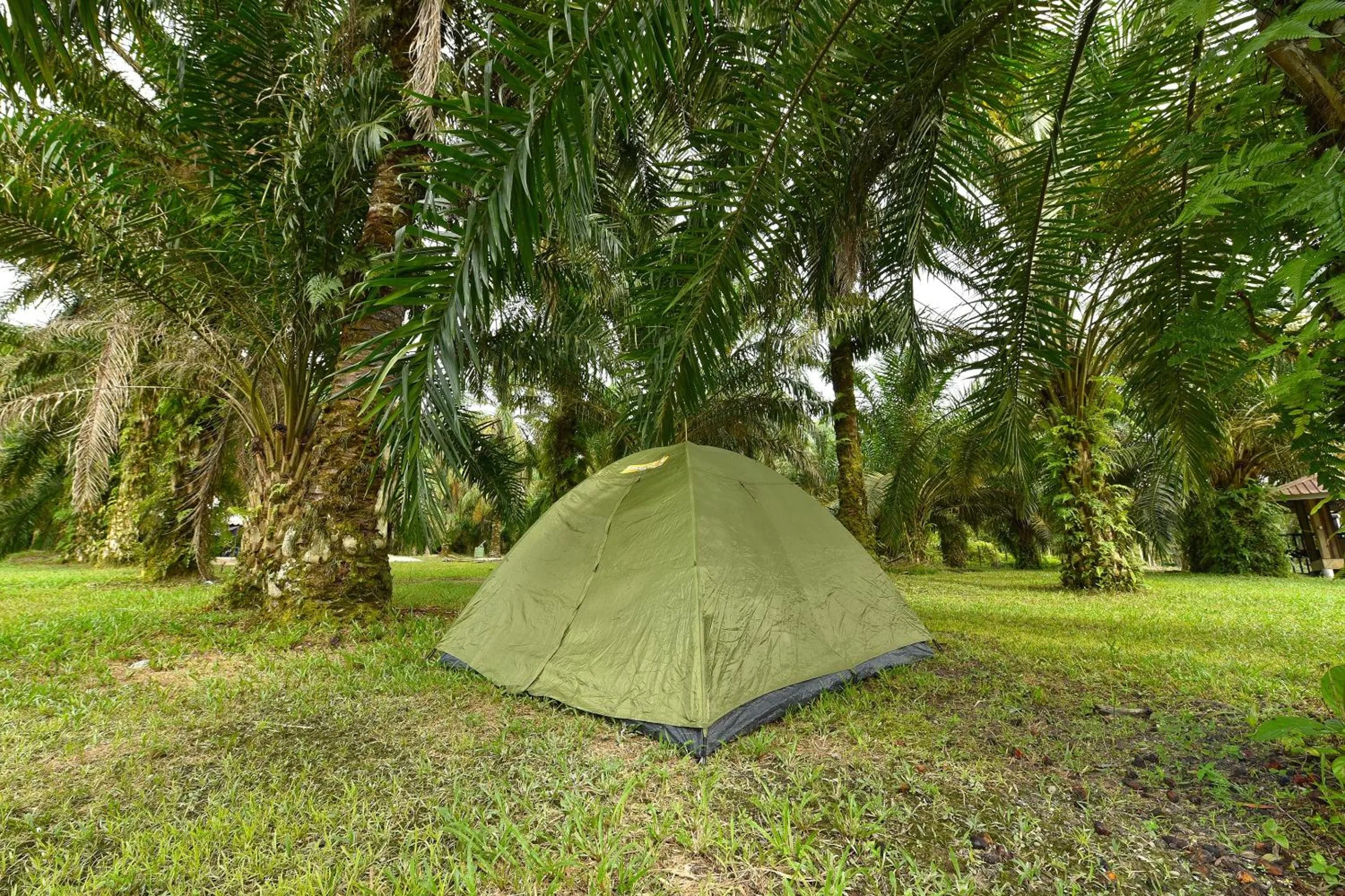 Lobby or reception in Hotel O Otternest @ Gunung Pulai 2
