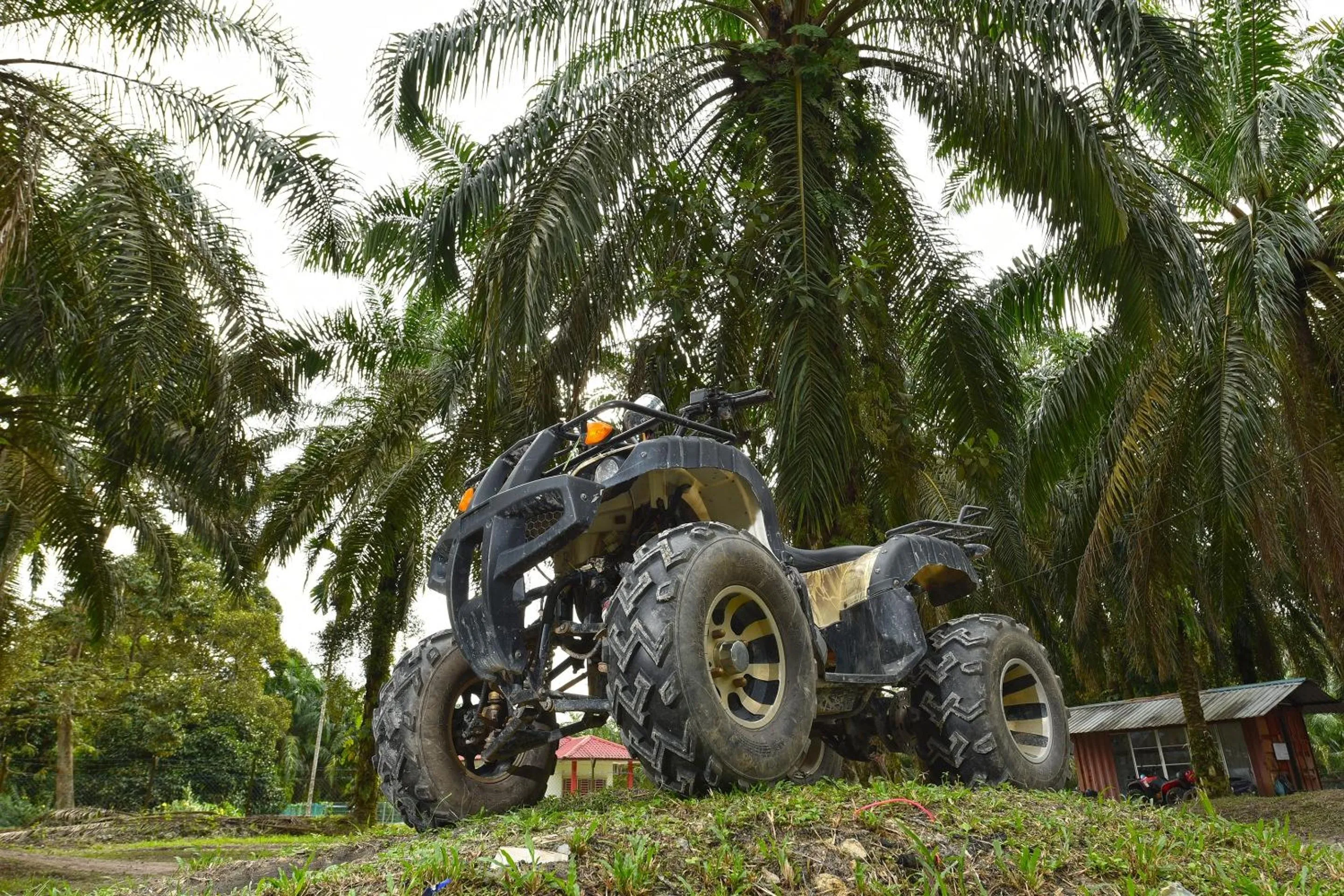 Lobby or reception in Hotel O Otternest @ Gunung Pulai 2