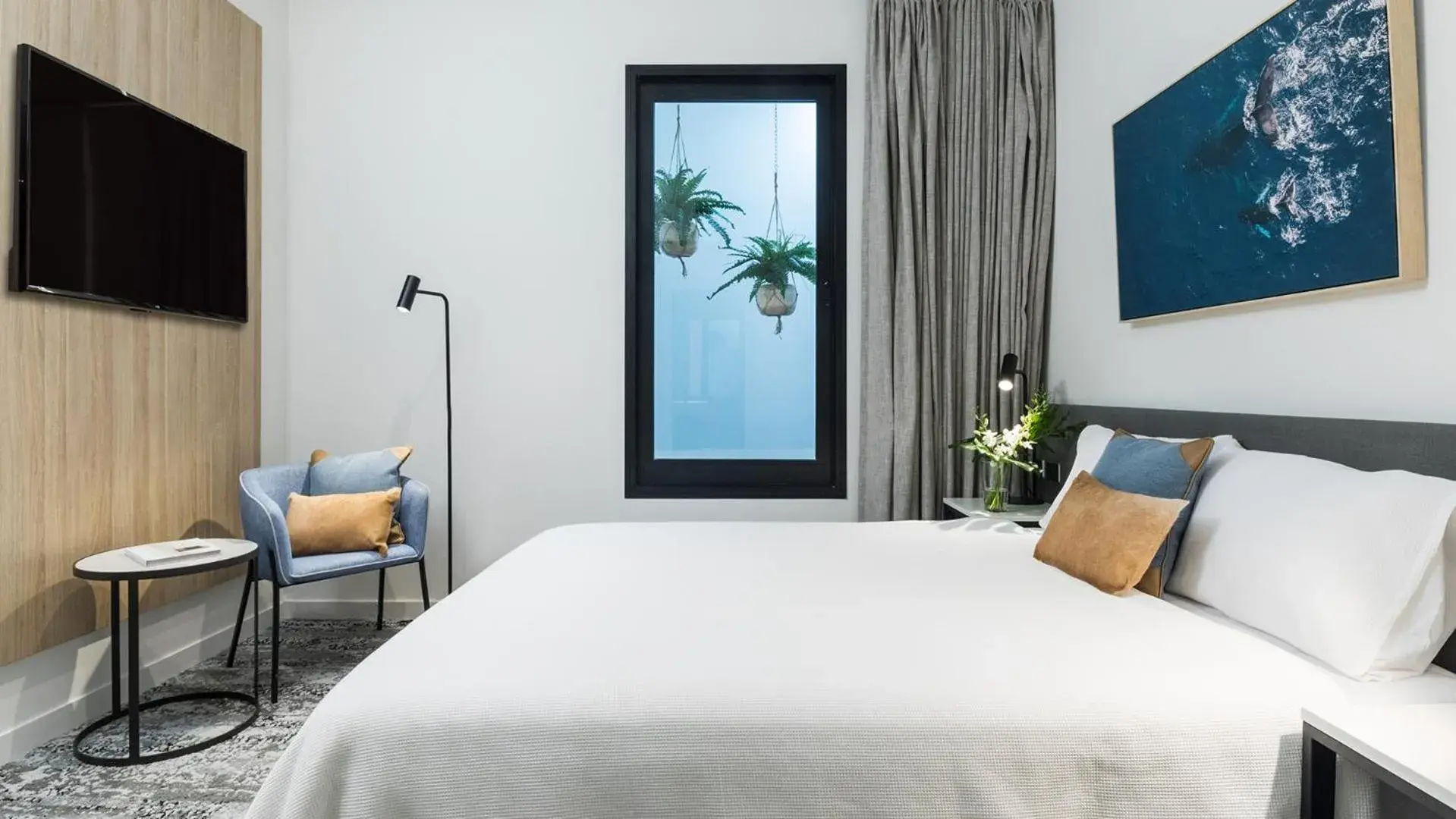 Hotel Room - Internal - No Housekeeping in Oaks Cairns Hotel Hotel Room - Internal - No Housekeeping in Oaks Cairns Hotel