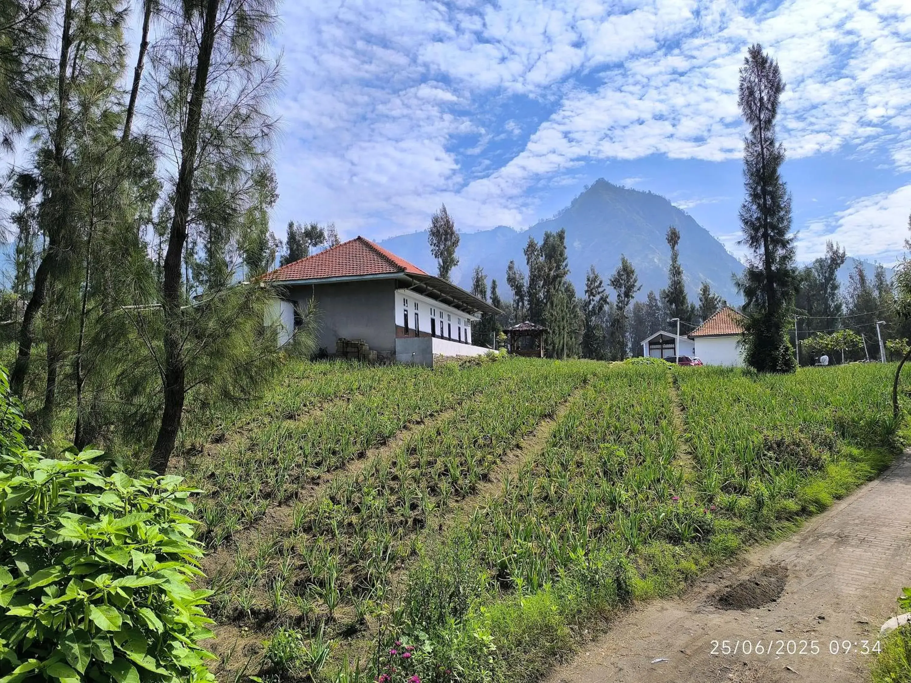 View (from property/room) in Elen Homestay by ABM View (from property/room) in Elen Homestay by ABM