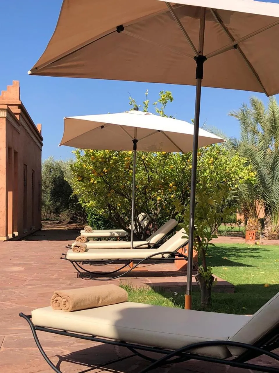 Garden in Domaine Casa Cecilia