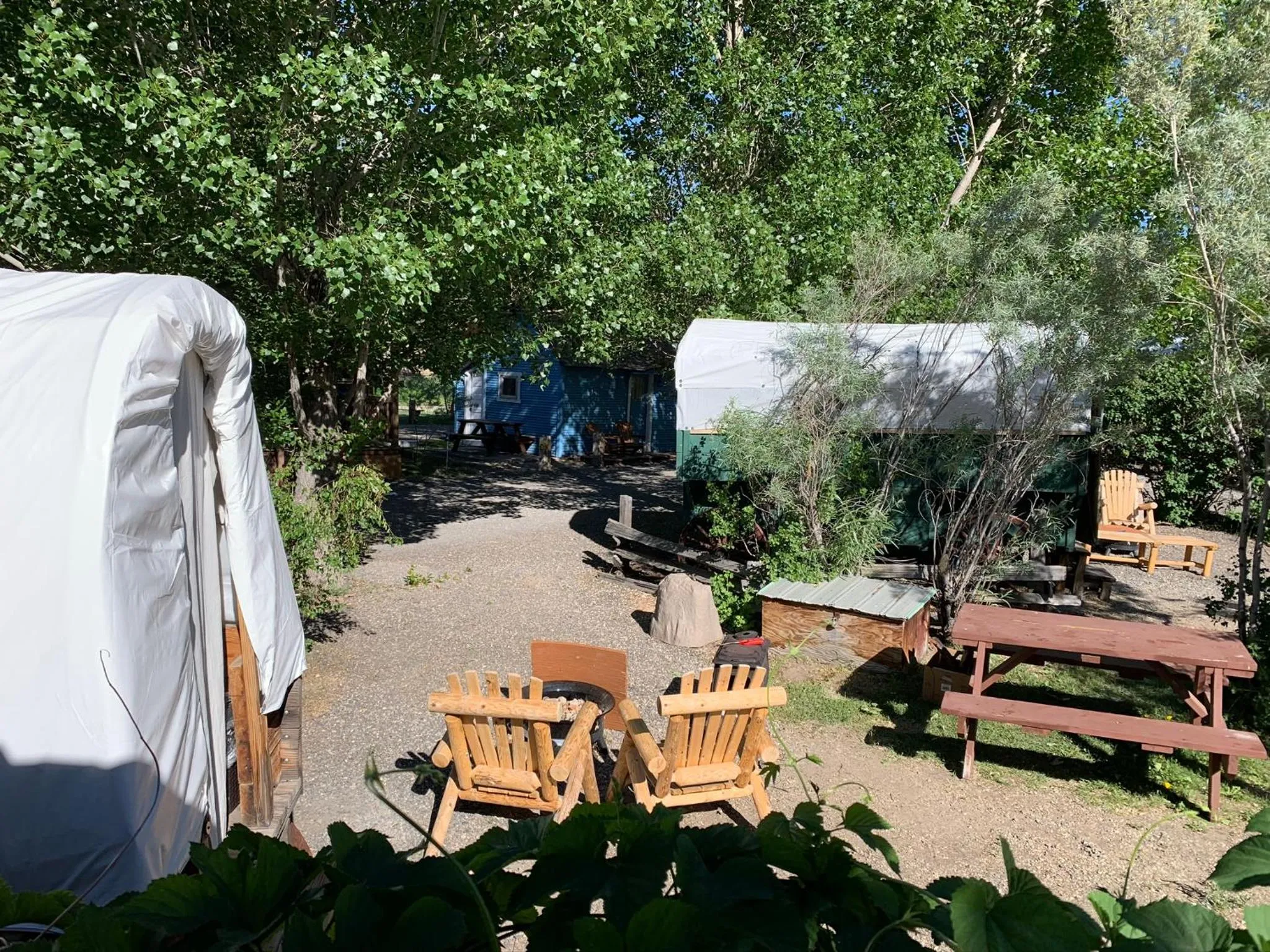Garden in Virginia Creek Settlement