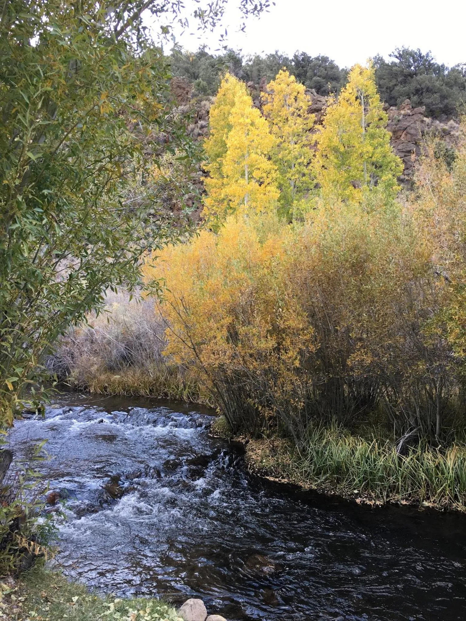 Natural landscape in Virginia Creek Settlement