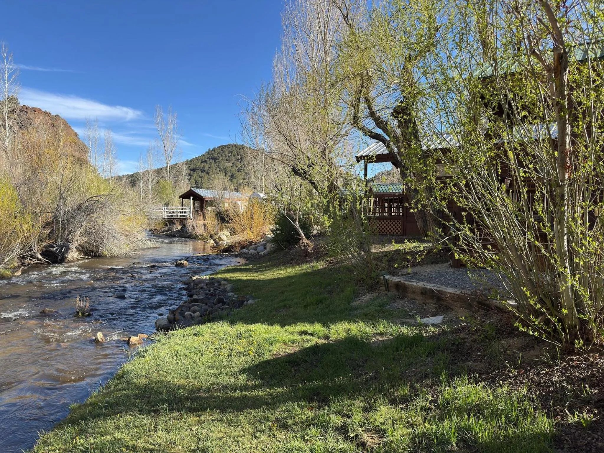 Natural landscape in Virginia Creek Settlement