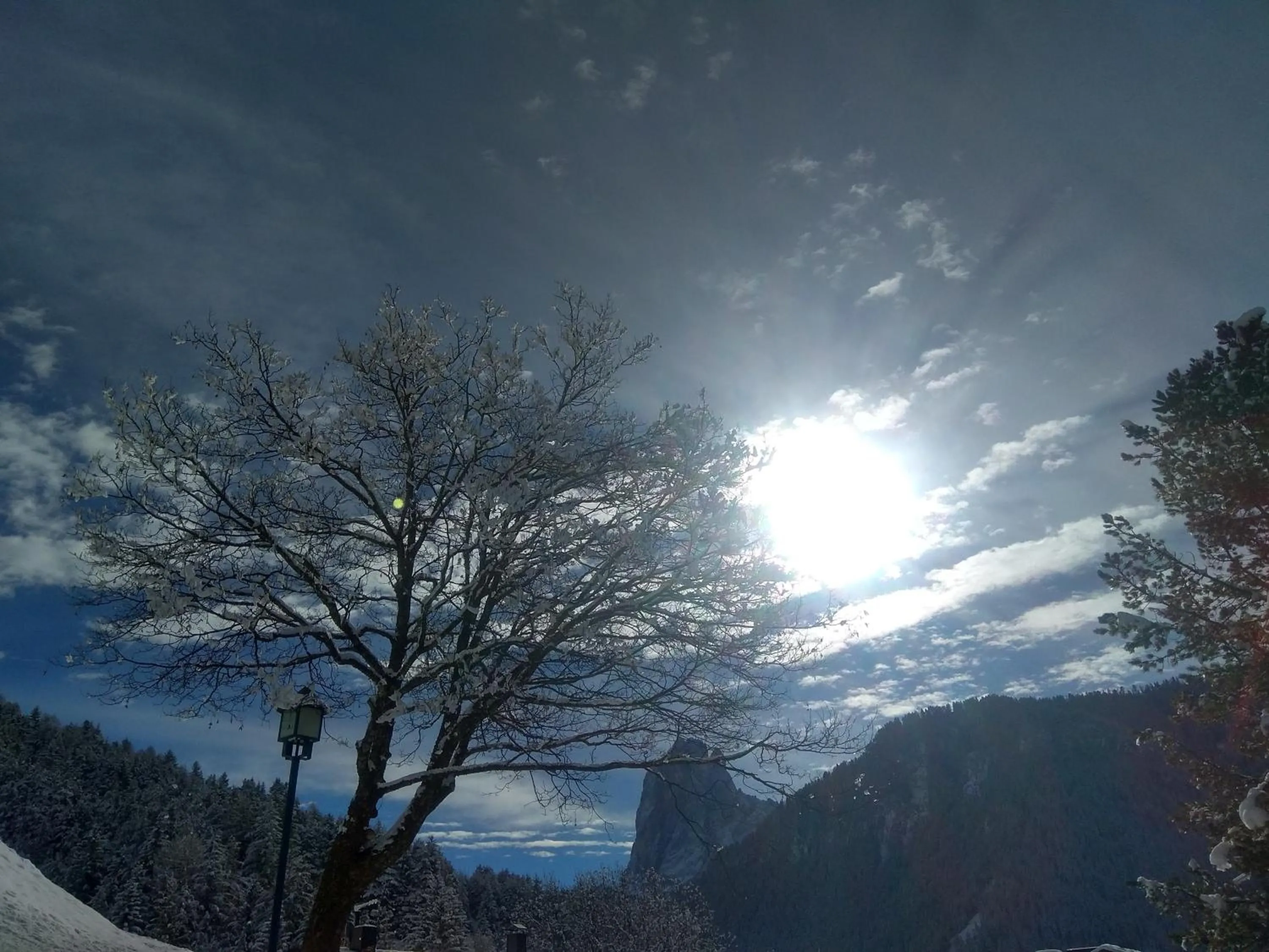 Natural landscape in Villa Luise
