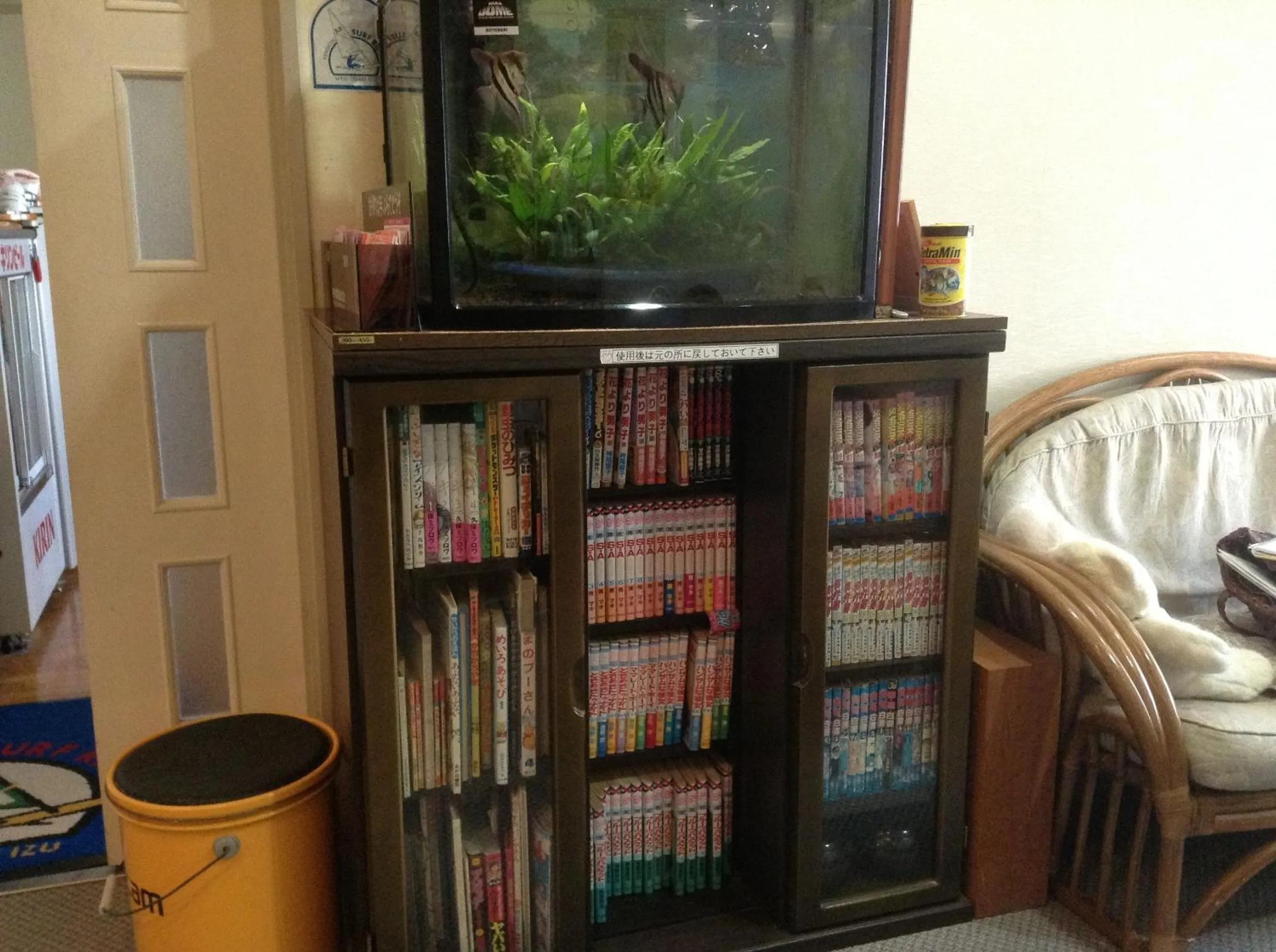 Decorative detail in Pension Surf Rider